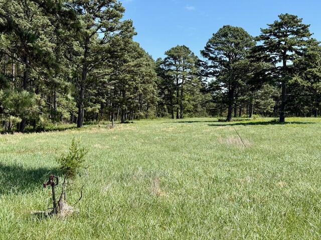 Photo 62 - Residential for sale – 786  County Road 434   Mountain View, MO