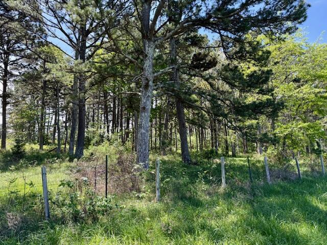 Photo 80 - Residential for sale – 786  County Road 434   Mountain View, MO
