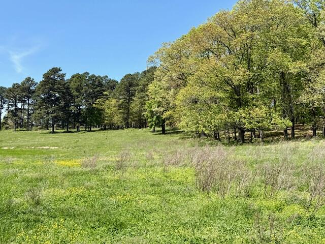 Photo 70 - Residential for sale – 786  County Road 434   Mountain View, MO