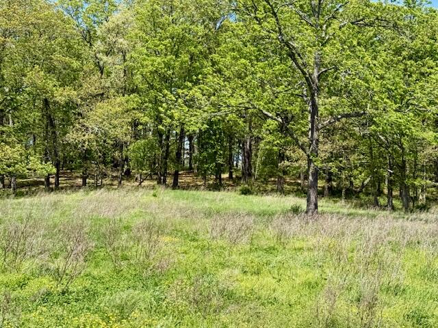Photo 71 - Residential for sale – 786  County Road 434   Mountain View, MO