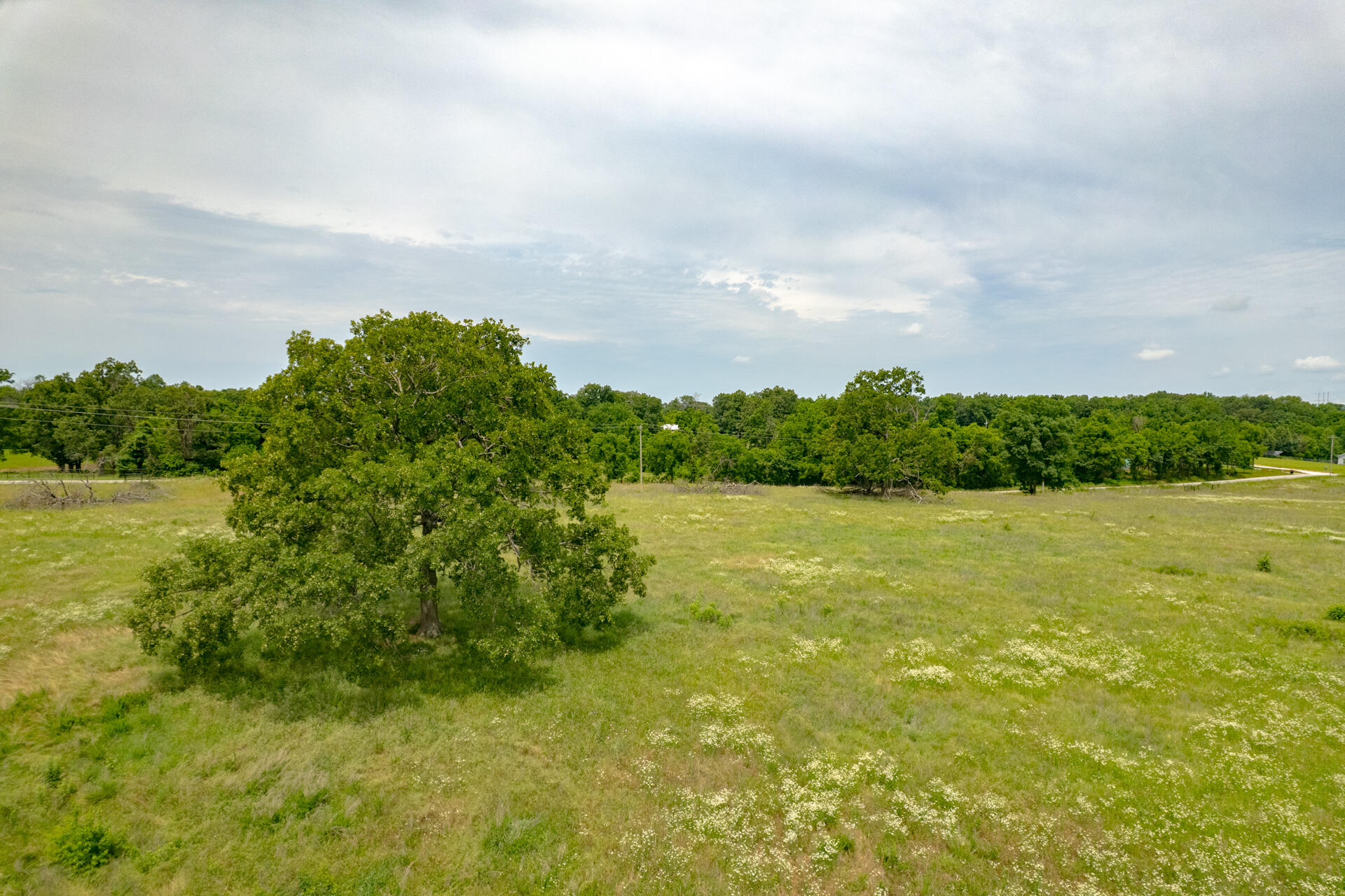 Photo 19 - Land for sale – Xx  Kodiak Road  Neosho, MO