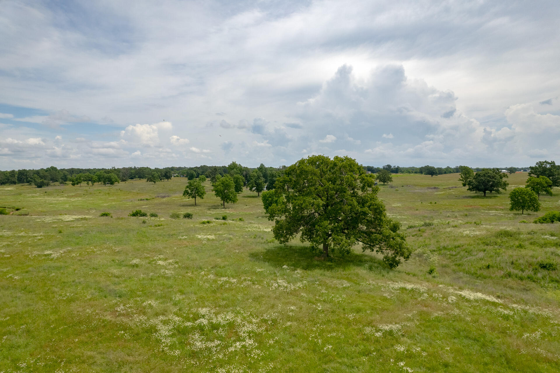 Photo 17 - Land for sale – Xx  Kodiak Road  Neosho, MO