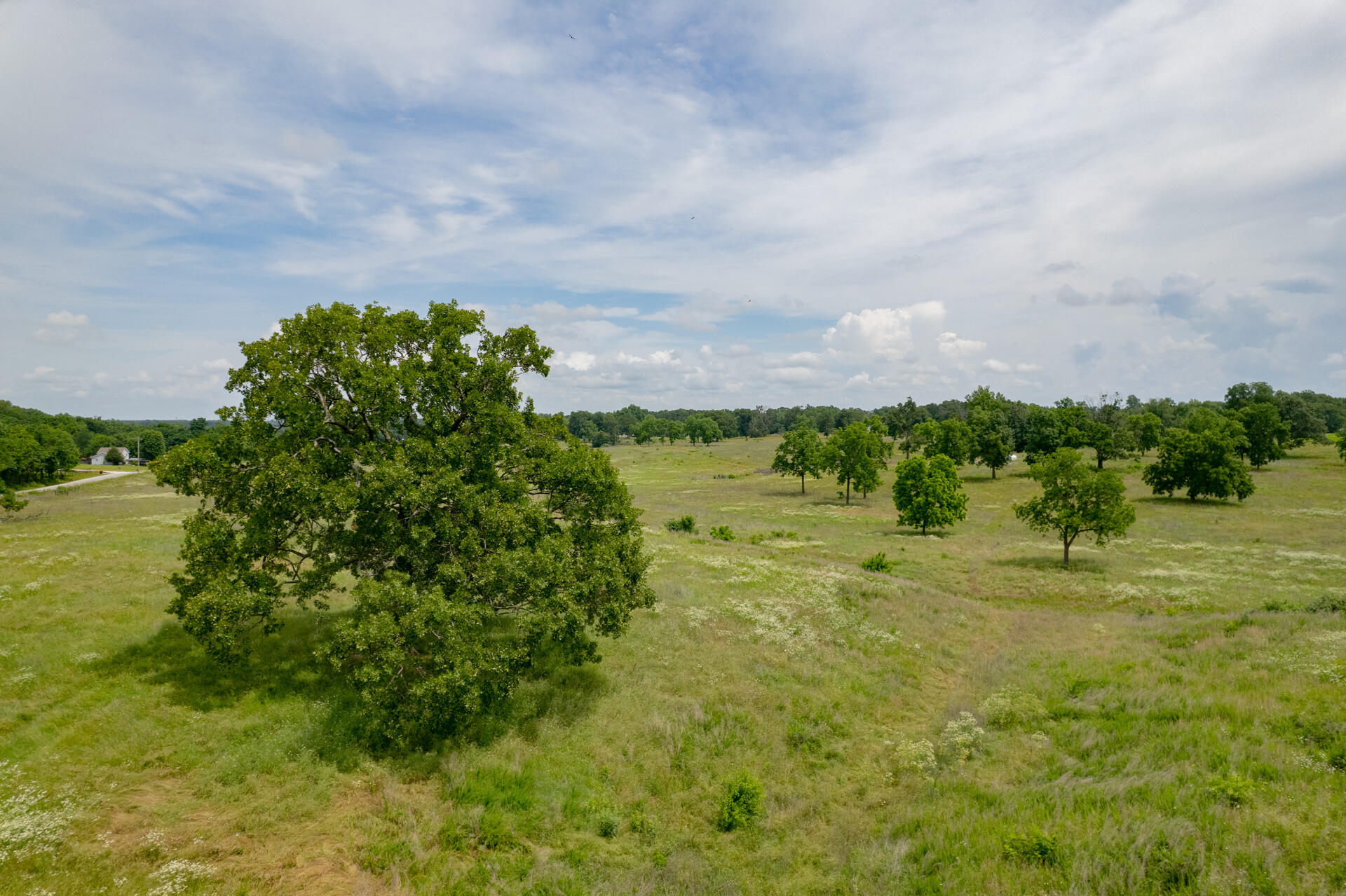 Photo 18 - Land for sale – Xx  Kodiak Road  Neosho, MO