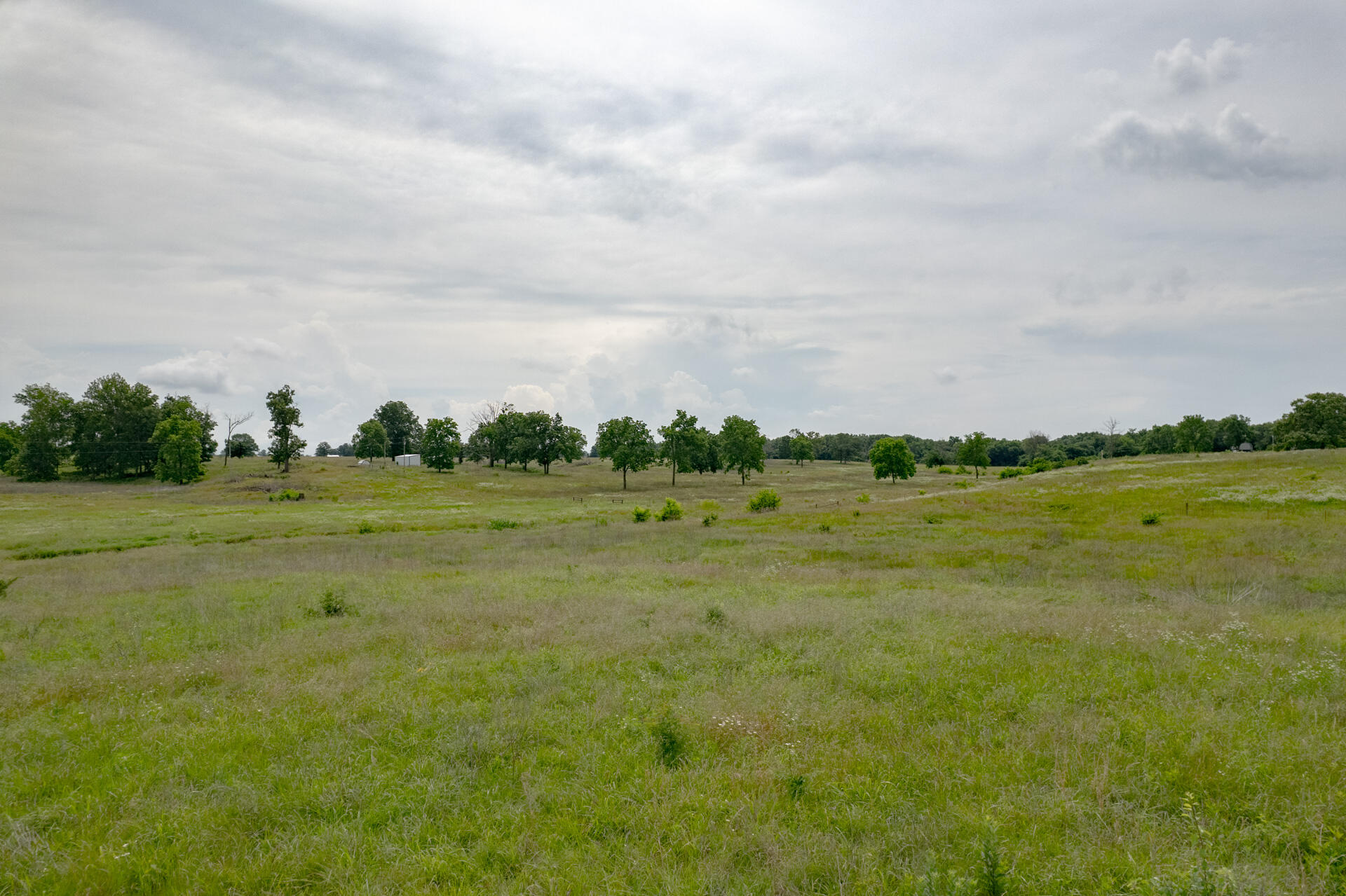 Photo 7 - Land for sale – Xx  Kodiak Road  Neosho, MO
