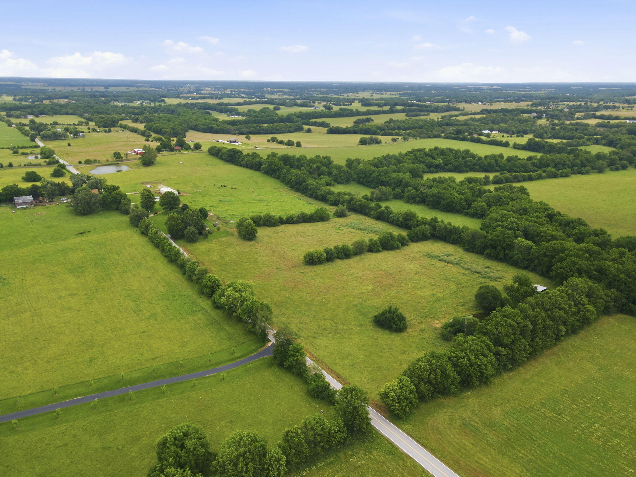 Photo 36 - Residential for sale – 3642 S Farm Road 69   Republic, MO