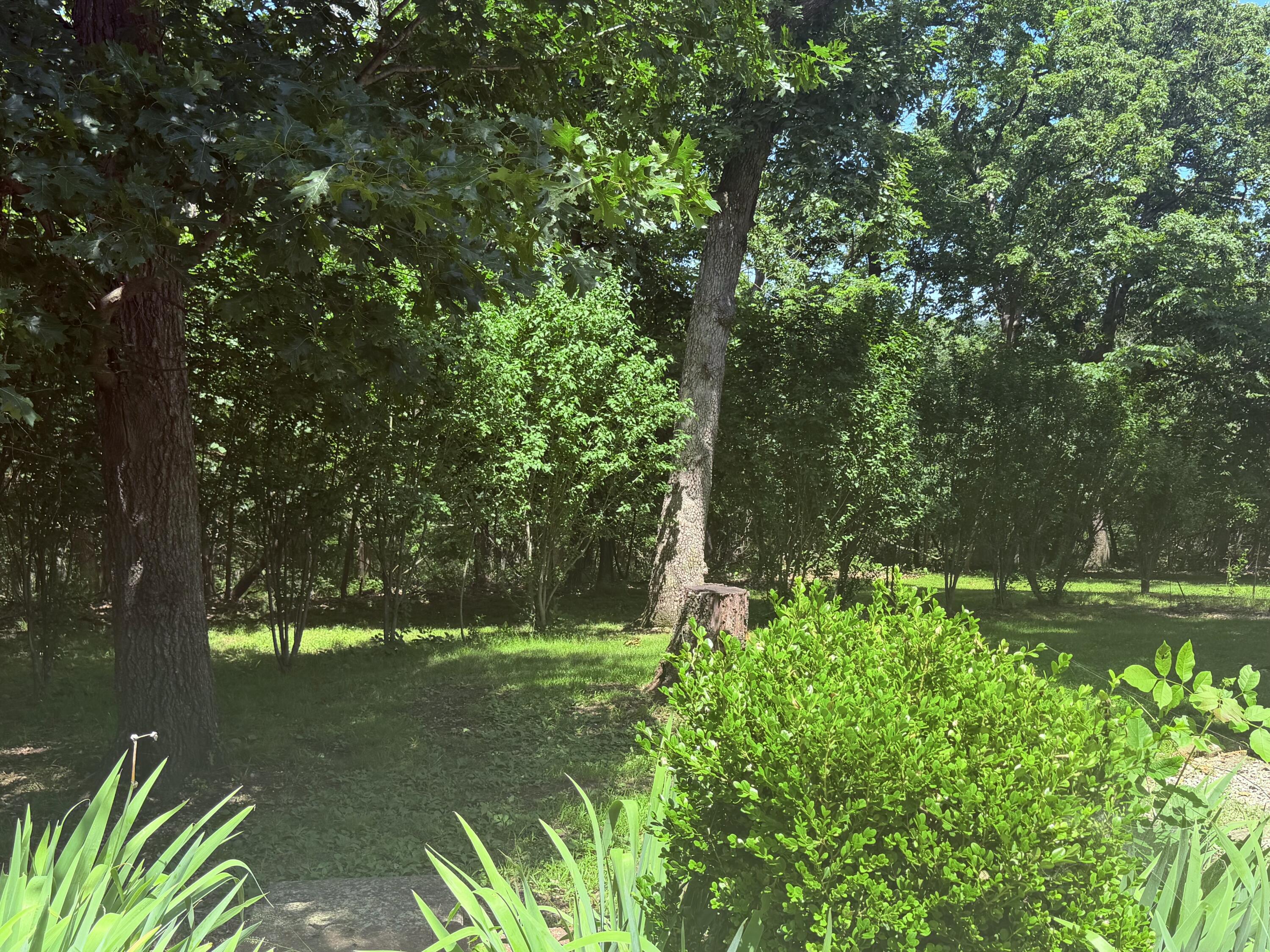Photo 47 - Residential for sale – 23  Little Fawn Lane  Greenfield, MO