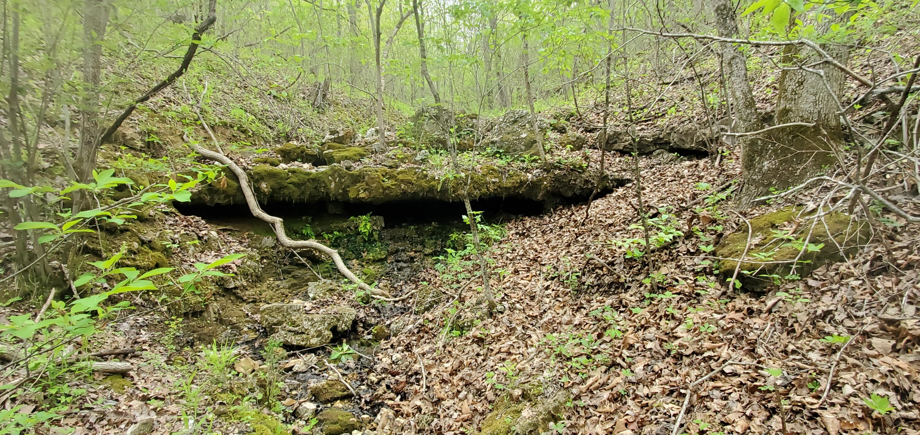 Photo 14 - Land for sale – Tbd  Timberhill Road-Tract 1   Raymondville, MO