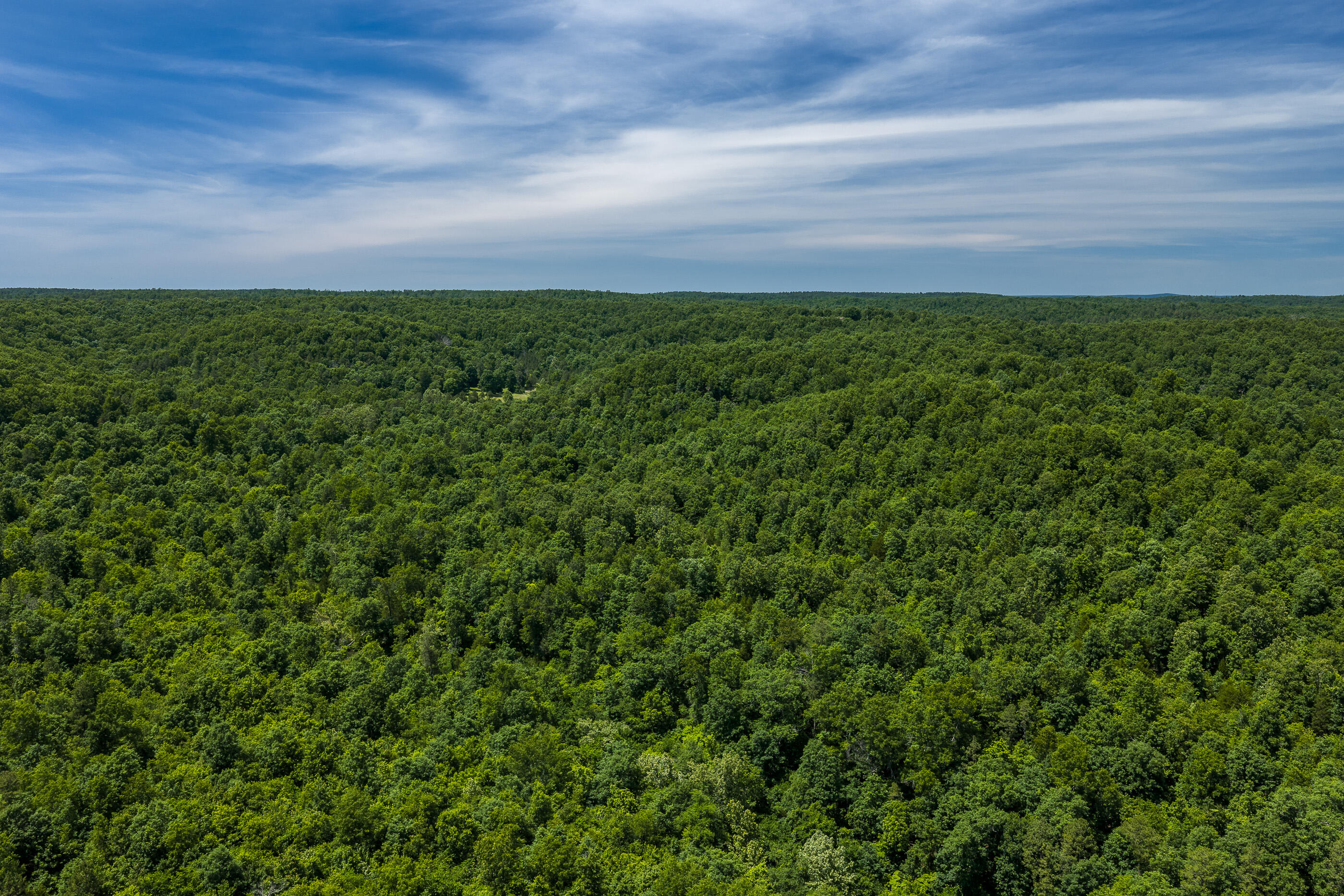 Photo 11 - Land for sale – Tbd  Timberhill Road-Tract 1   Raymondville, MO
