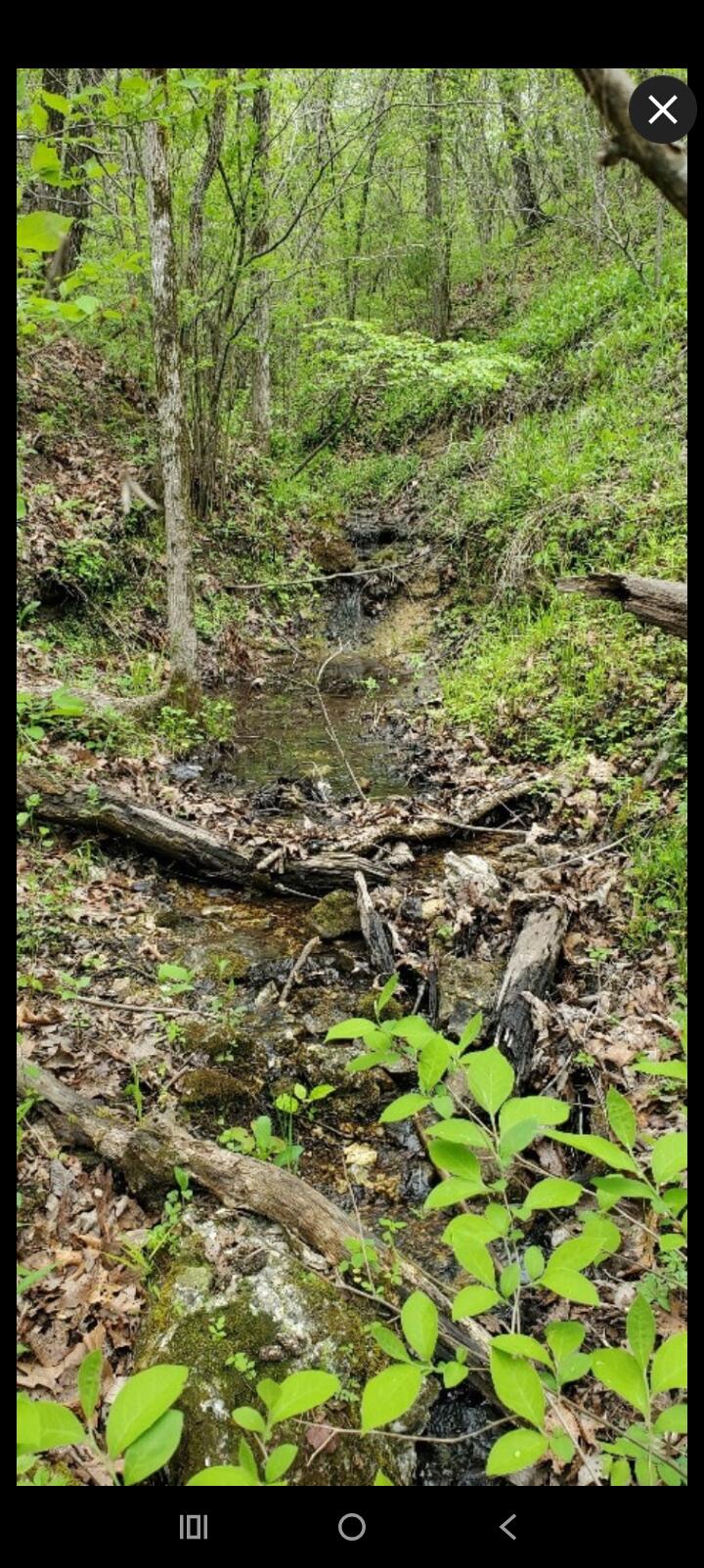 Photo 32 - Land for sale – Tbd  Timberhill Road-Tract 1   Raymondville, MO