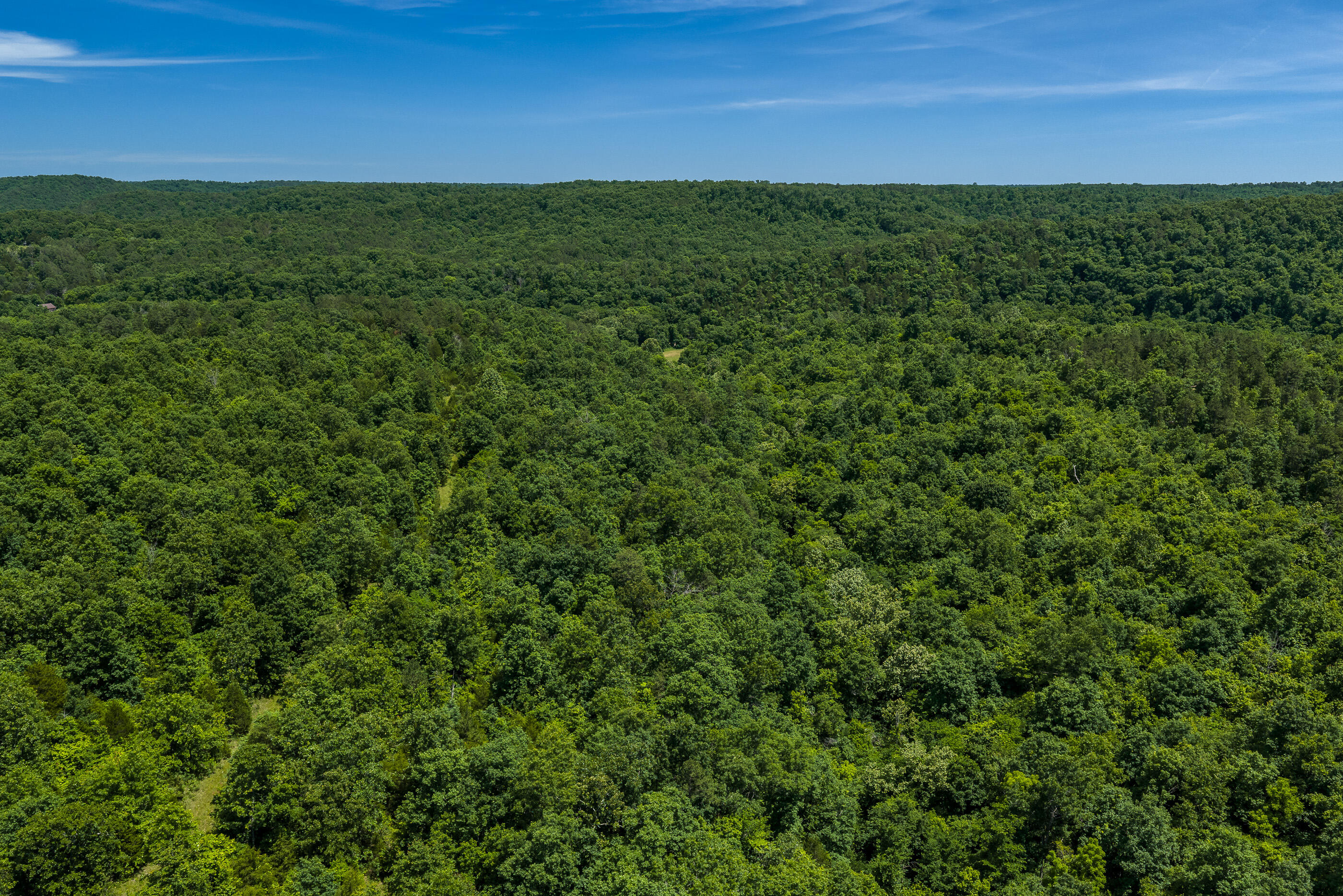 Photo 6 - Land for sale – Tbd  Timberhill Road-Tract 1   Raymondville, MO