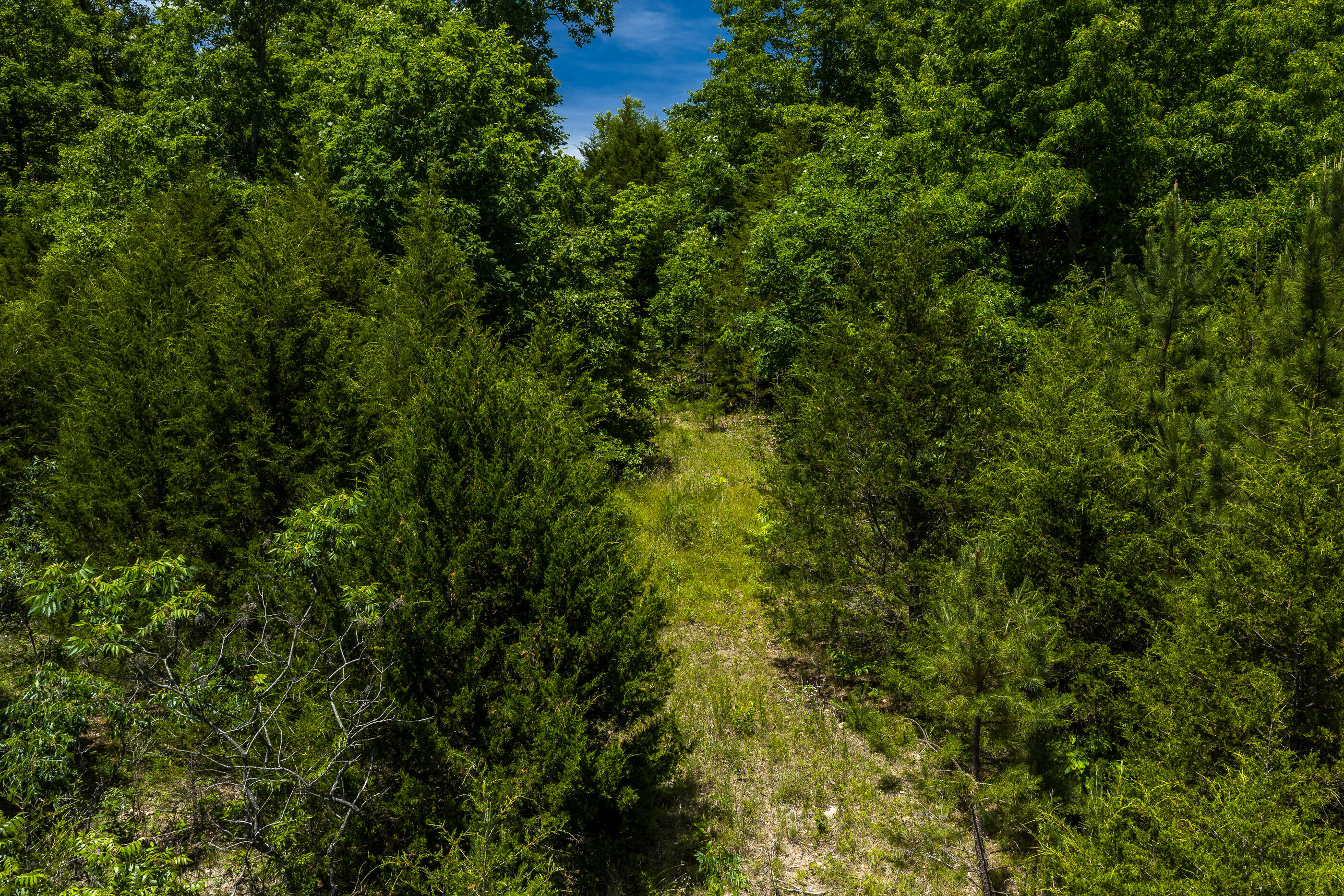 Photo 3 - Land for sale – Tbd  Timberhill Road-Tract 1   Raymondville, MO