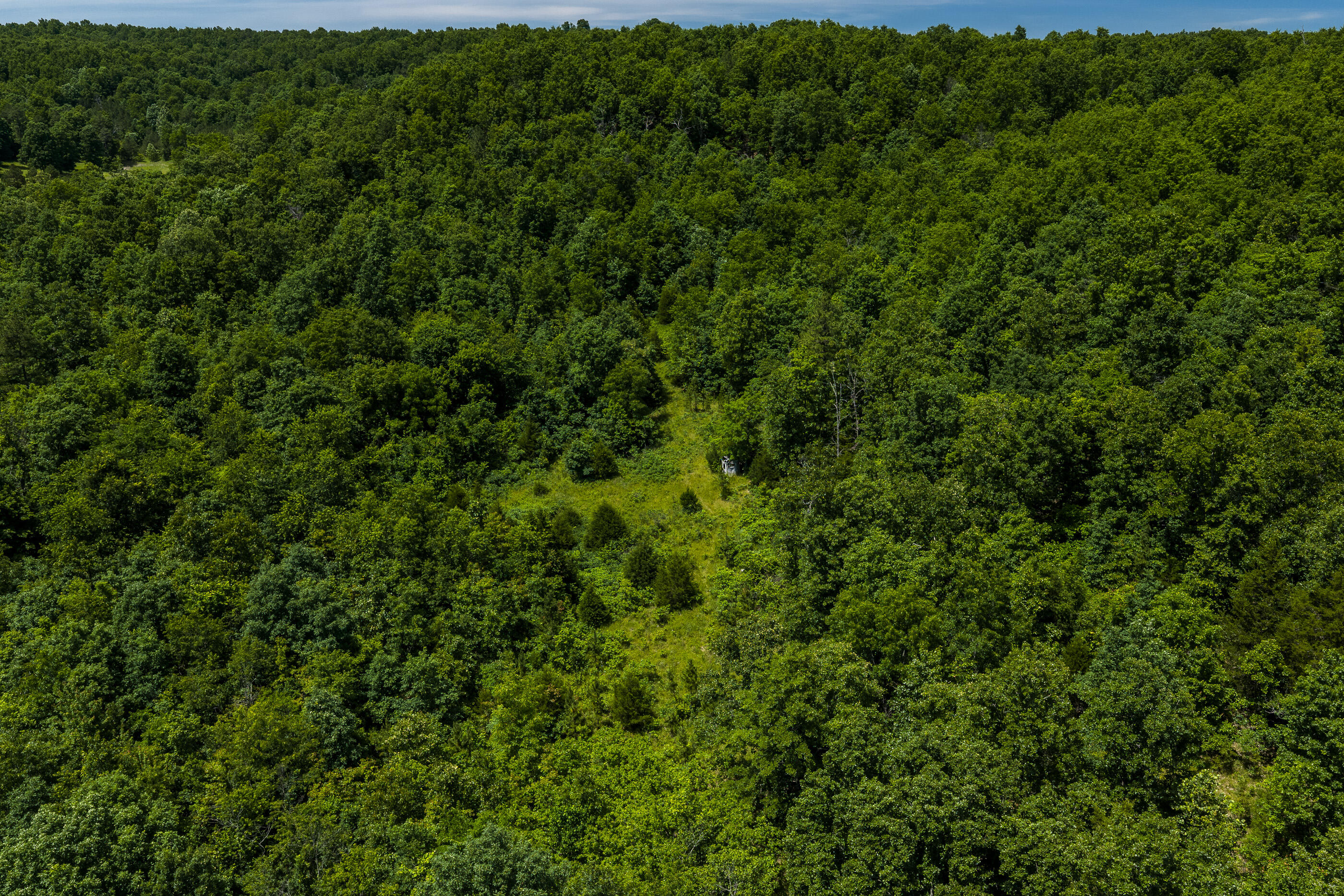 Photo 5 - Land for sale – Tbd  Timberhill Road-Tract 1   Raymondville, MO