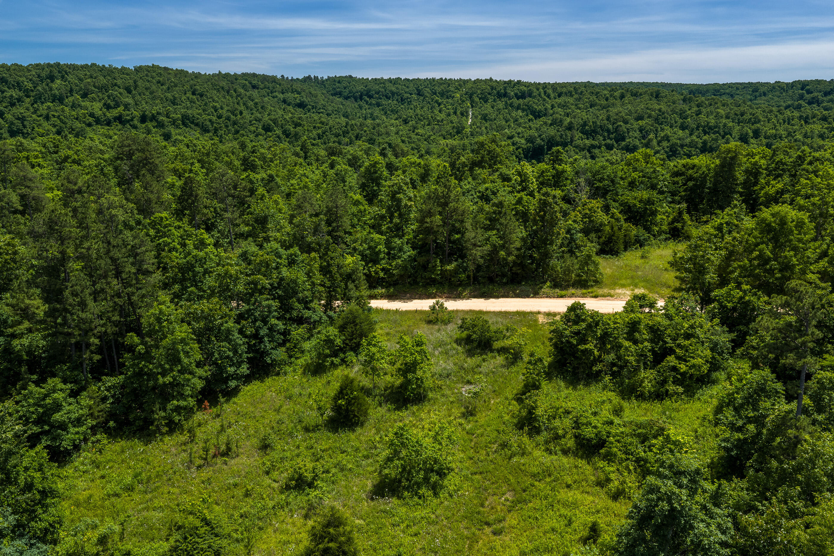 Photo 8 - Land for sale – Tbd  Timberhill Road-Tract 1   Raymondville, MO