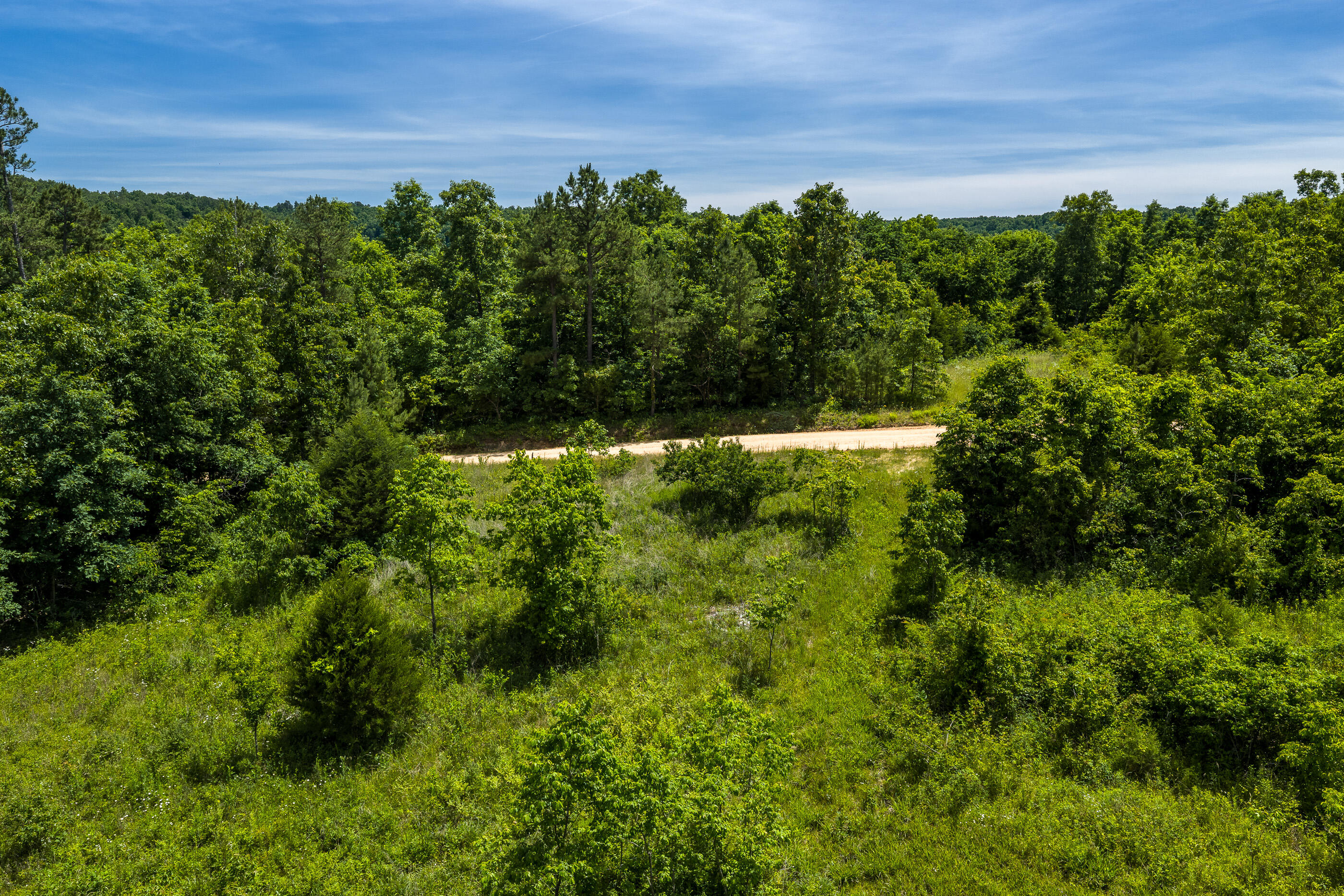 Photo 9 - Land for sale – Tbd  Timberhill Road-Tract 1   Raymondville, MO