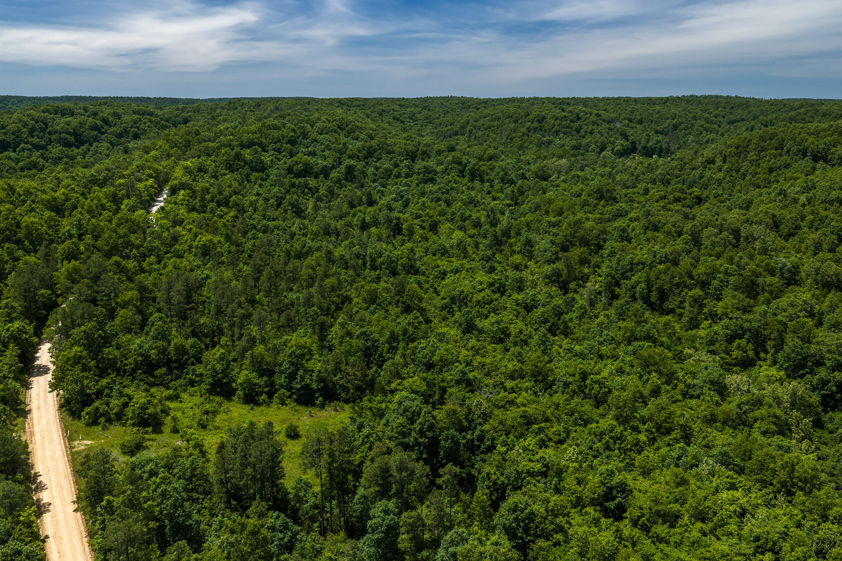 Photo 10 - Land for sale – Tbd  Timberhill Road-Tract 1   Raymondville, MO