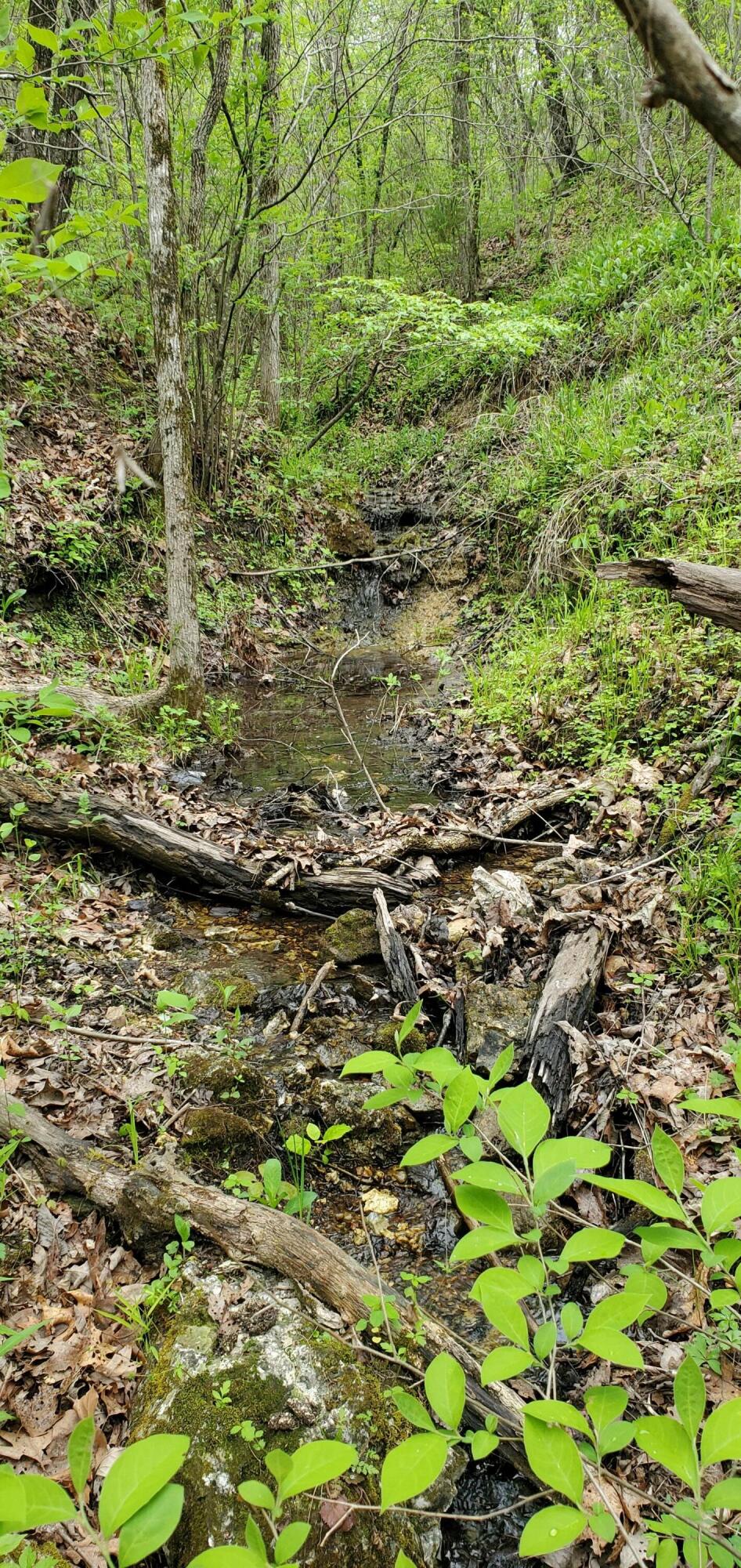 Photo 16 - Land for sale – Tbd  Timberhill Road-Tract 1   Raymondville, MO