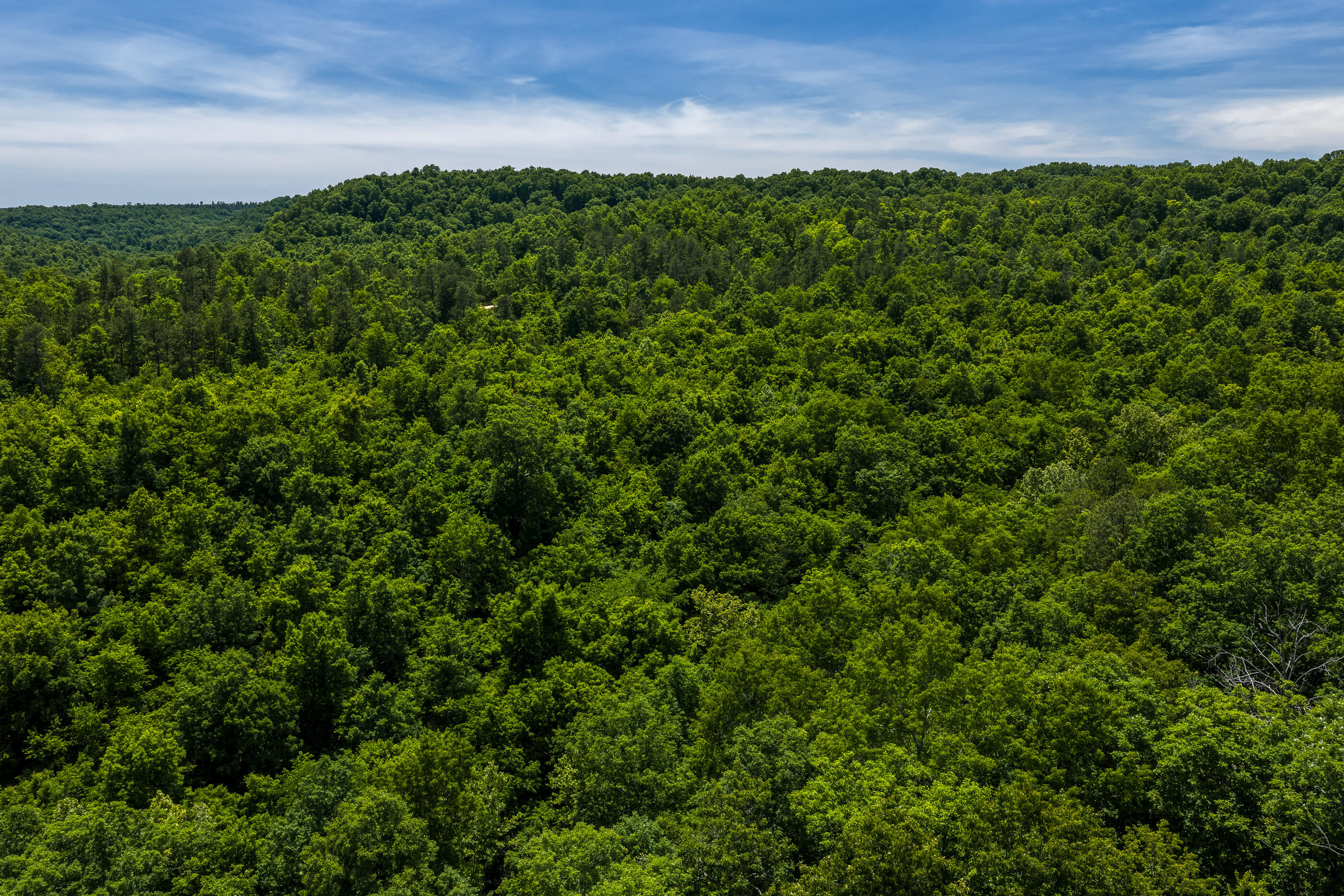 Photo 2 - Land for sale – Tbd  Timberhill Road-Tract 1   Raymondville, MO