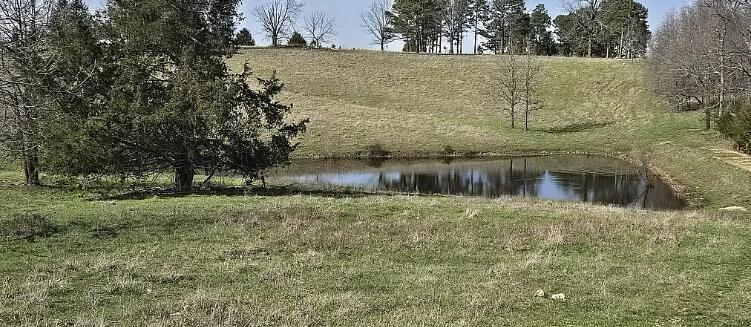 Photo 99 - Residential for sale – 6405  State Route Mm   Birch Tree, MO