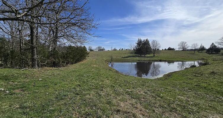 Photo 101 - Residential for sale – 6405  State Route Mm   Birch Tree, MO