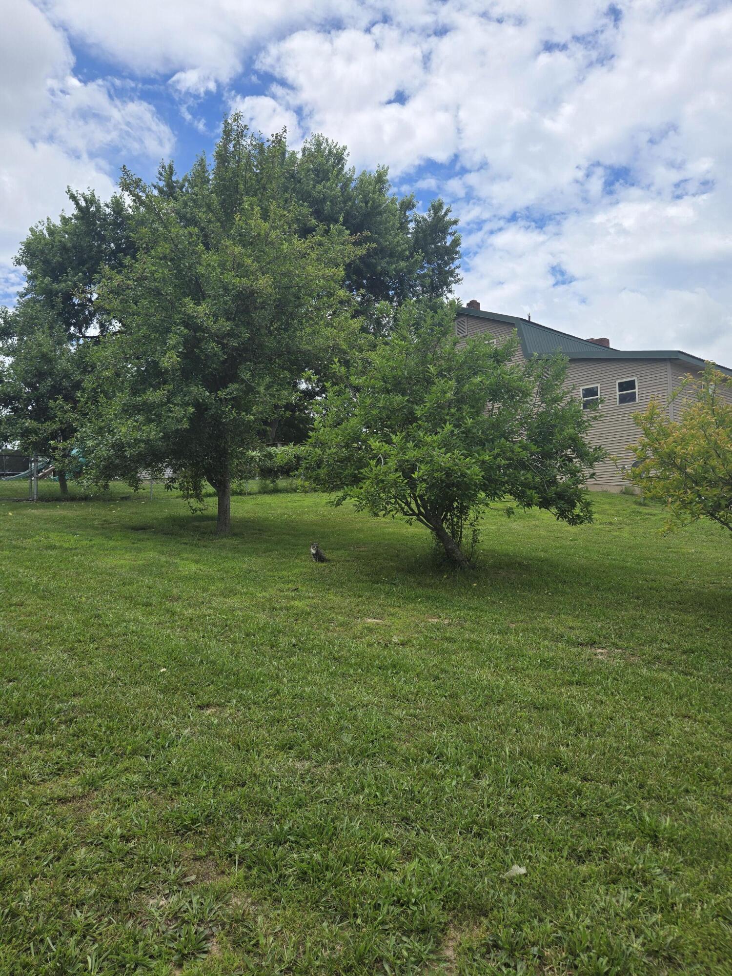 Photo 87 - Residential for sale – 6405  State Route Mm   Birch Tree, MO