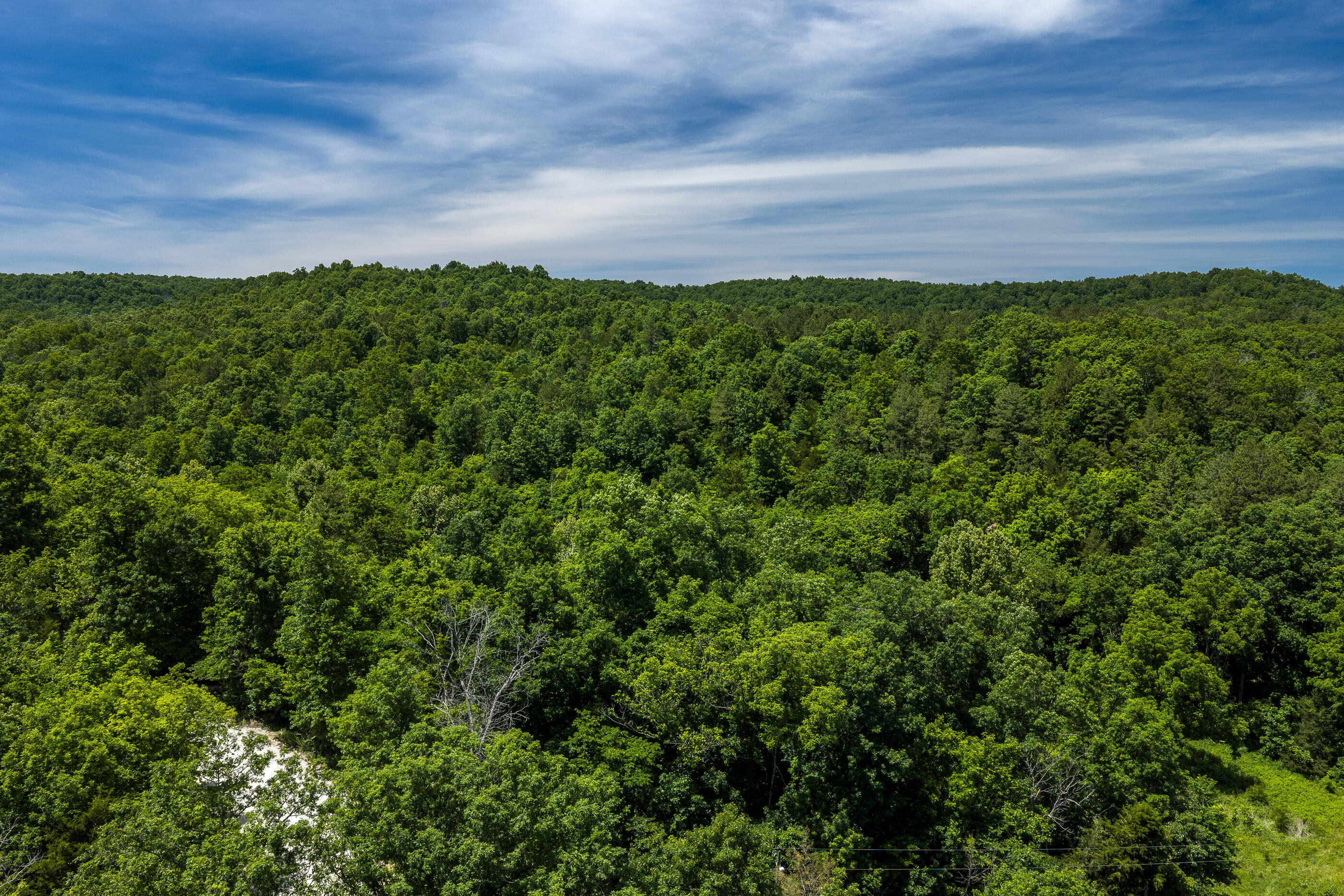 Photo 4 - Land for sale – Tbd  Timberhill Road-Tract 2   Raymondville, MO