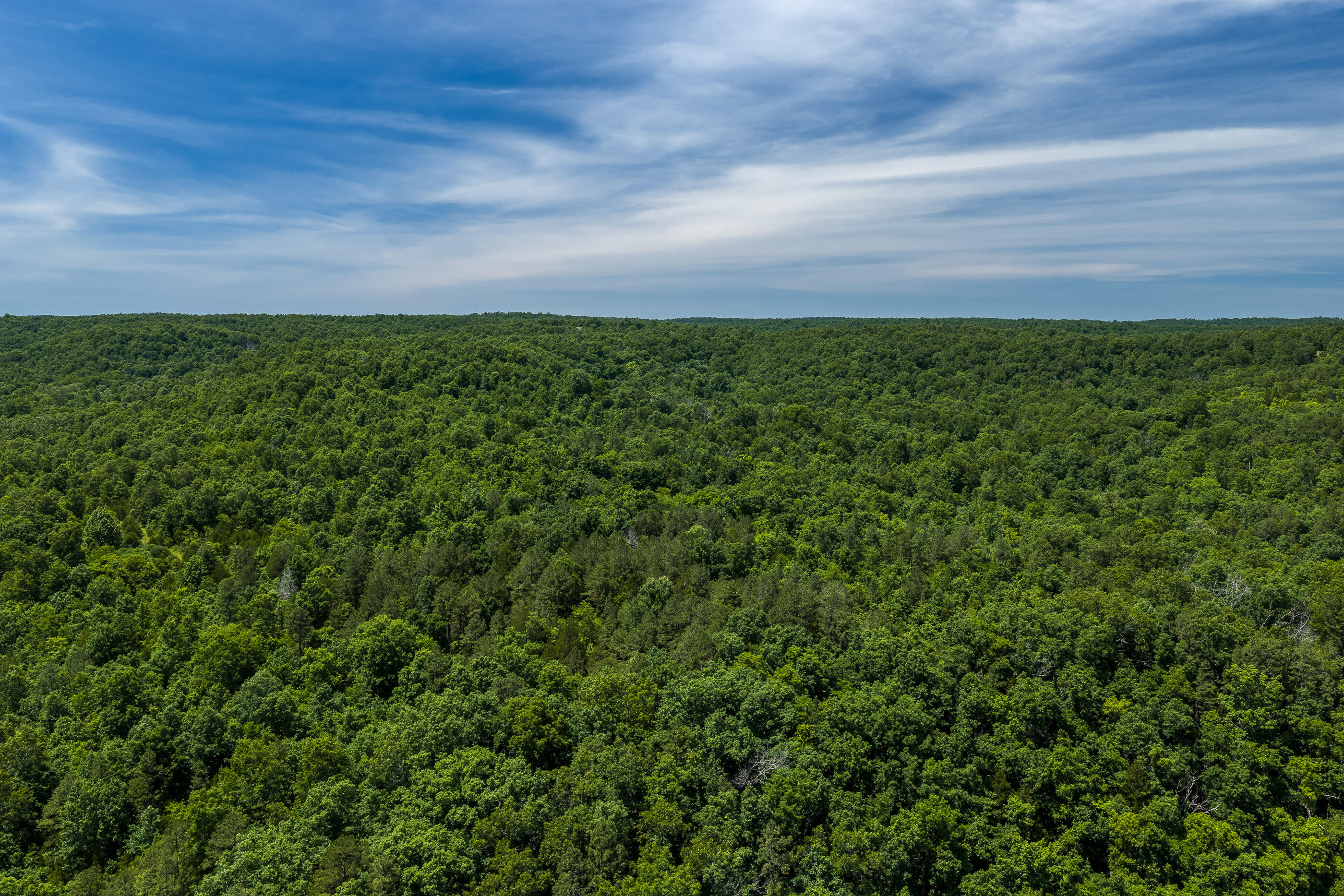 Photo 5 - Land for sale – Tbd  Timberhill Road-Tract 2   Raymondville, MO