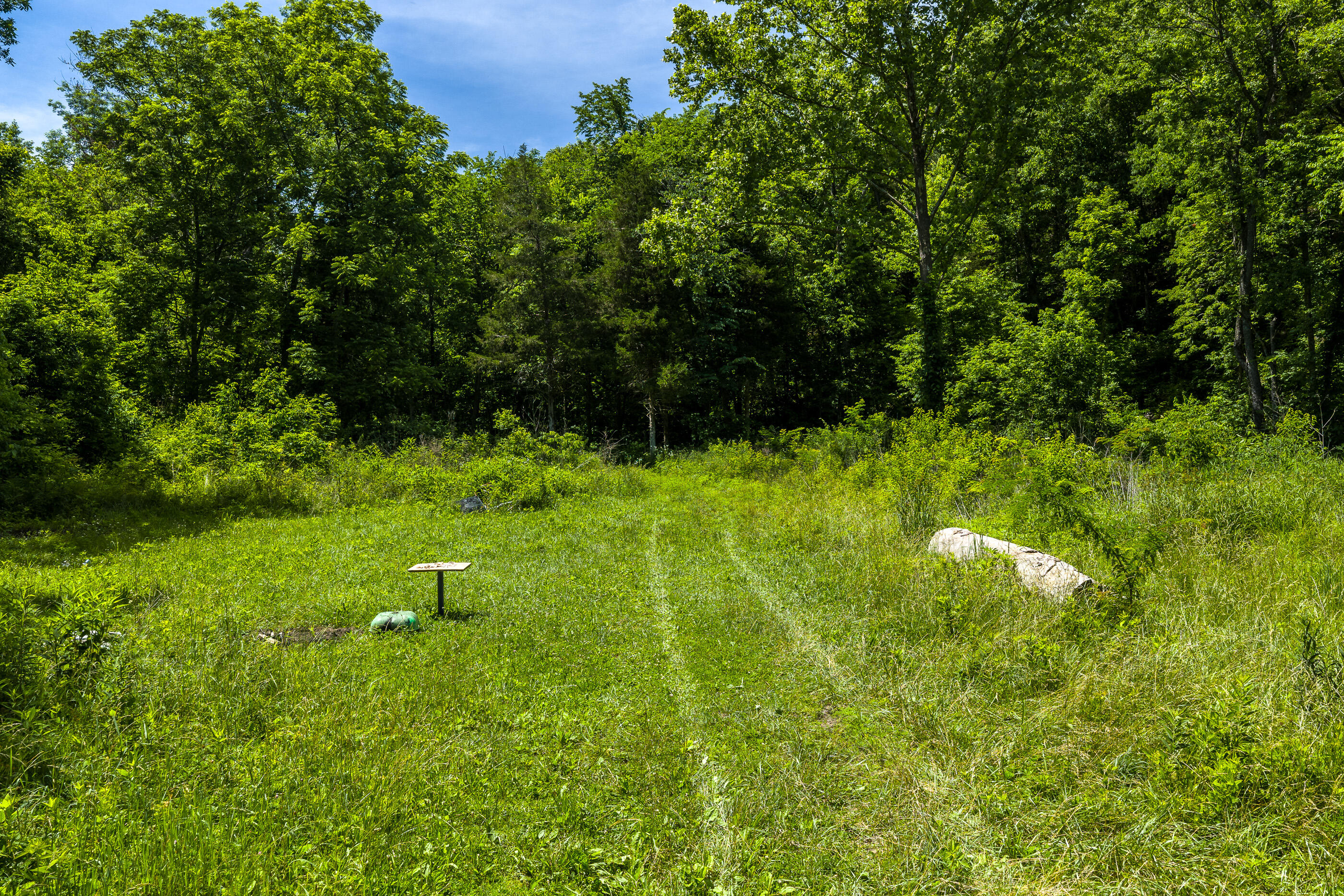 Photo 14 - Land for sale – Tbd  Timberhill Road-Tract 2   Raymondville, MO