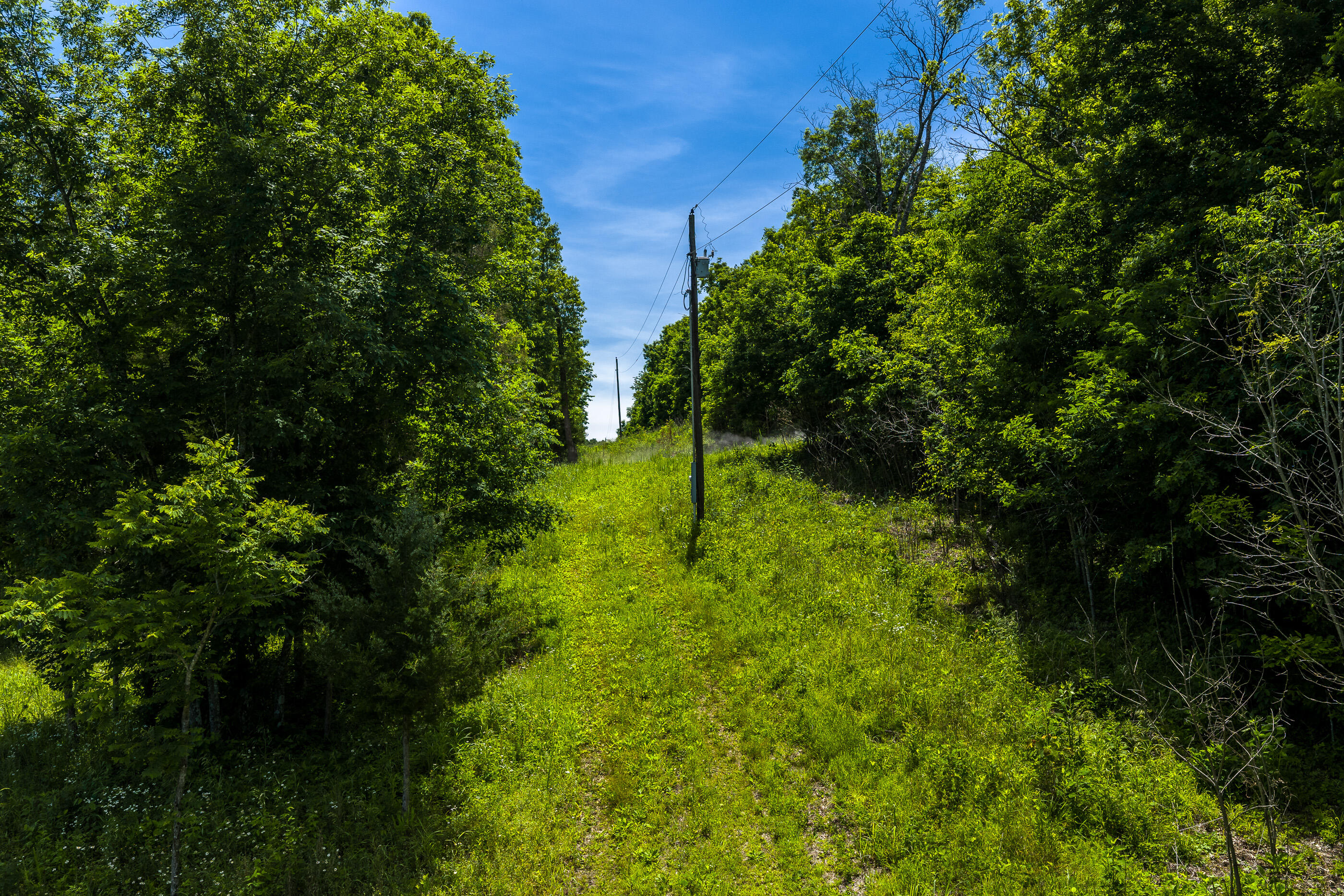 Photo 16 - Land for sale – Tbd  Timberhill Road-Tract 2   Raymondville, MO