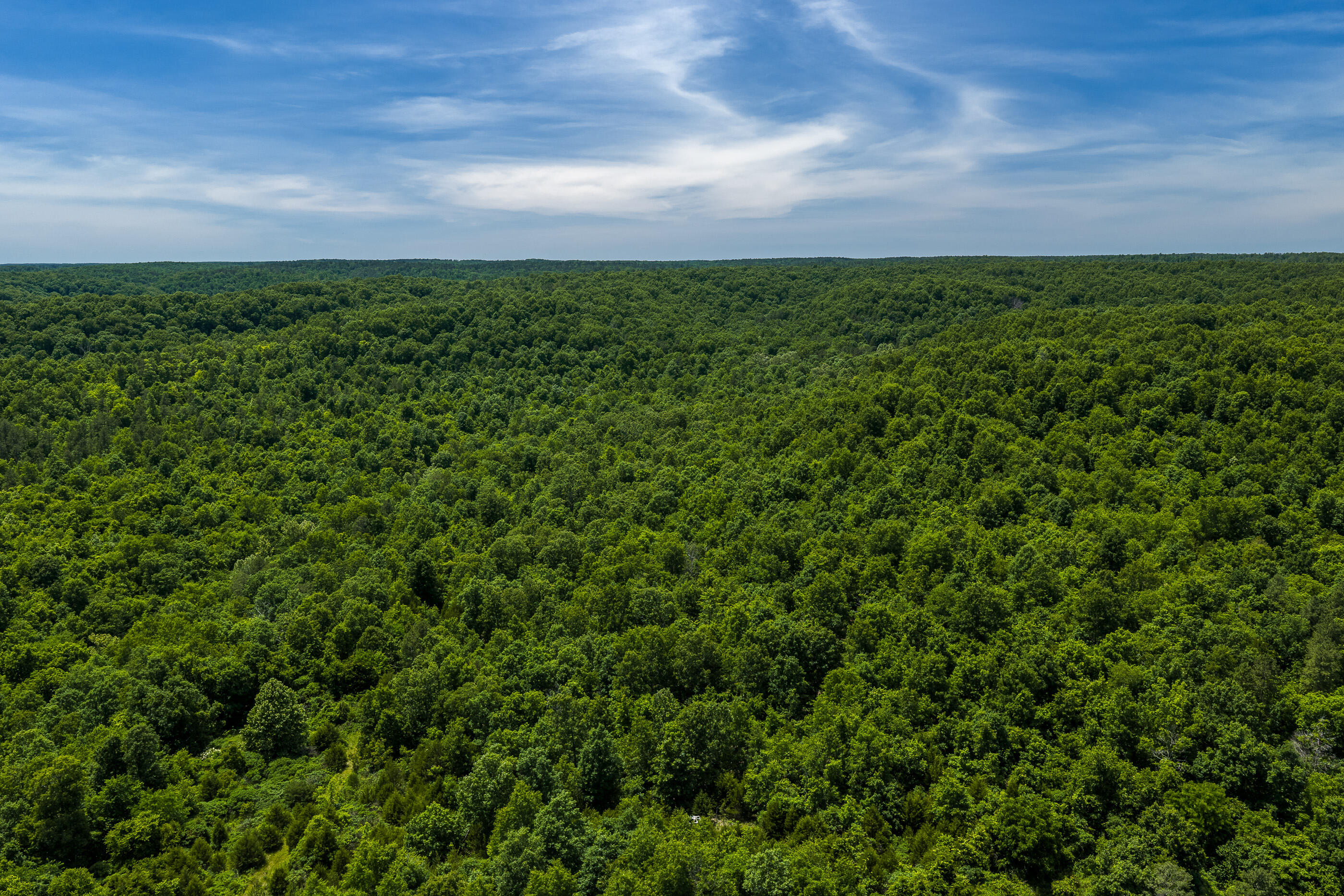 Photo 6 - Land for sale – Tbd  Timberhill Road-Tract 2   Raymondville, MO
