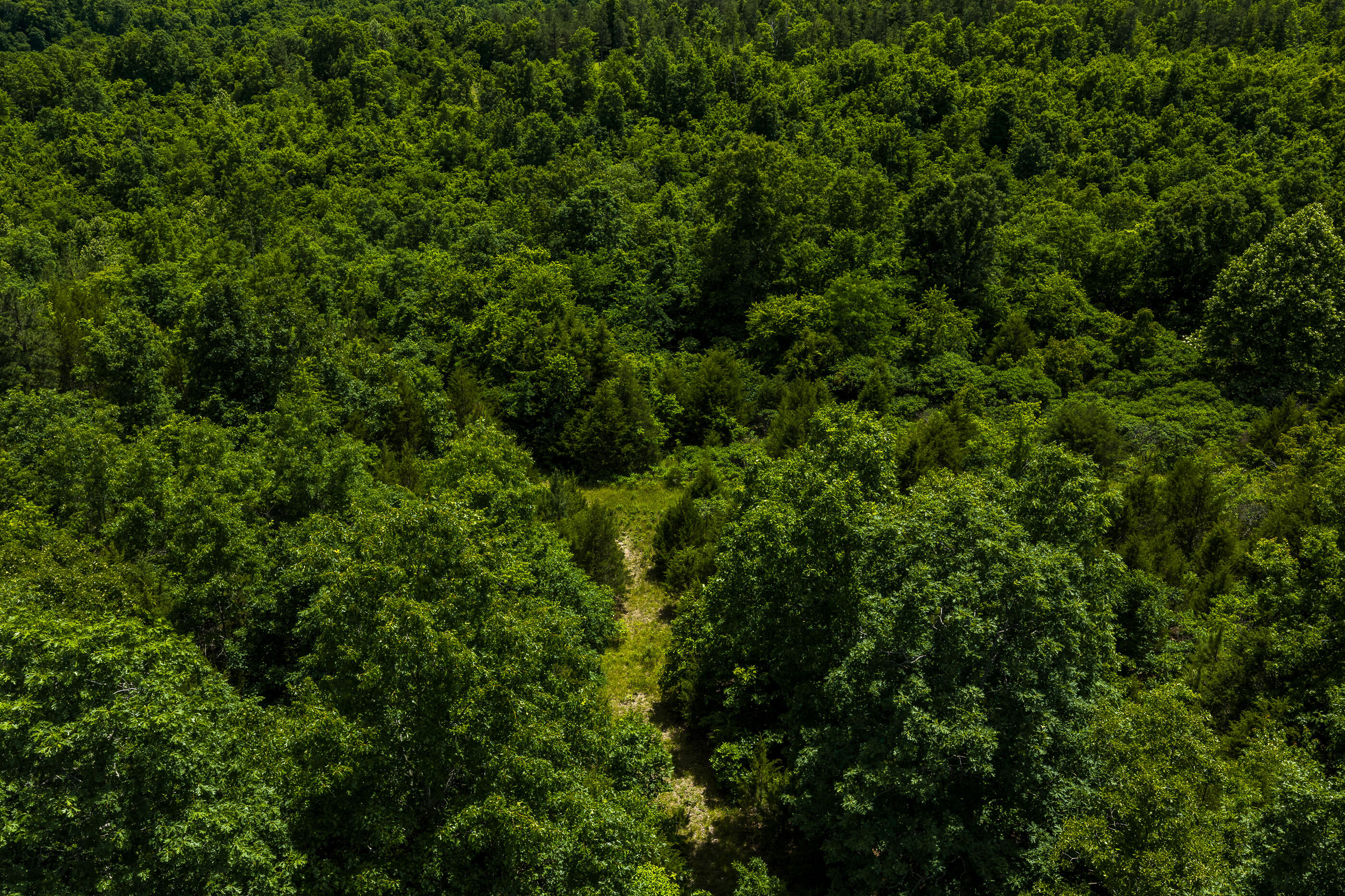 Photo 11 - Land for sale – Tbd  Timberhill Road-Tract 2   Raymondville, MO