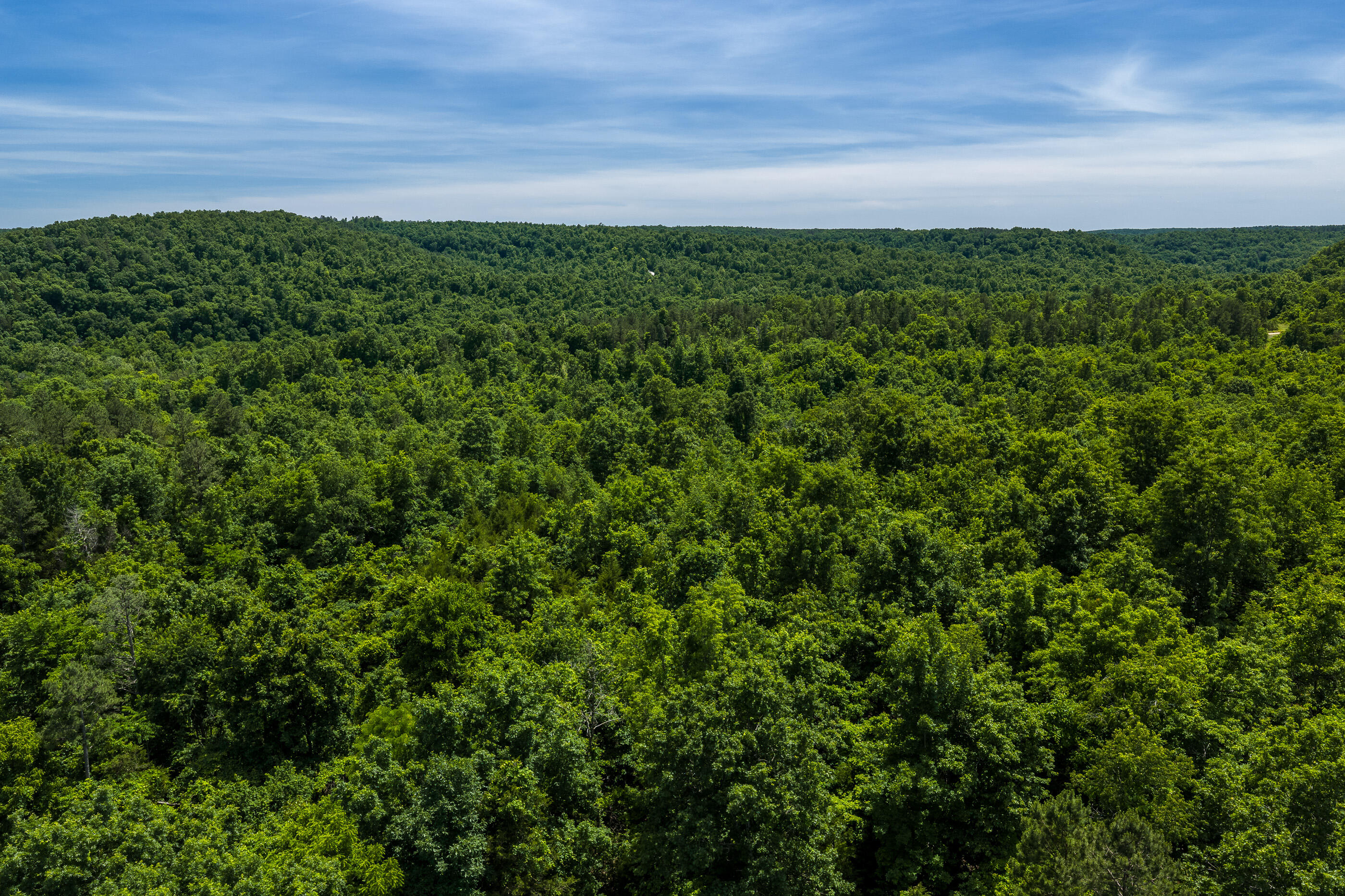 Photo 9 - Land for sale – Tbd  Timberhill Road-Tract 2   Raymondville, MO