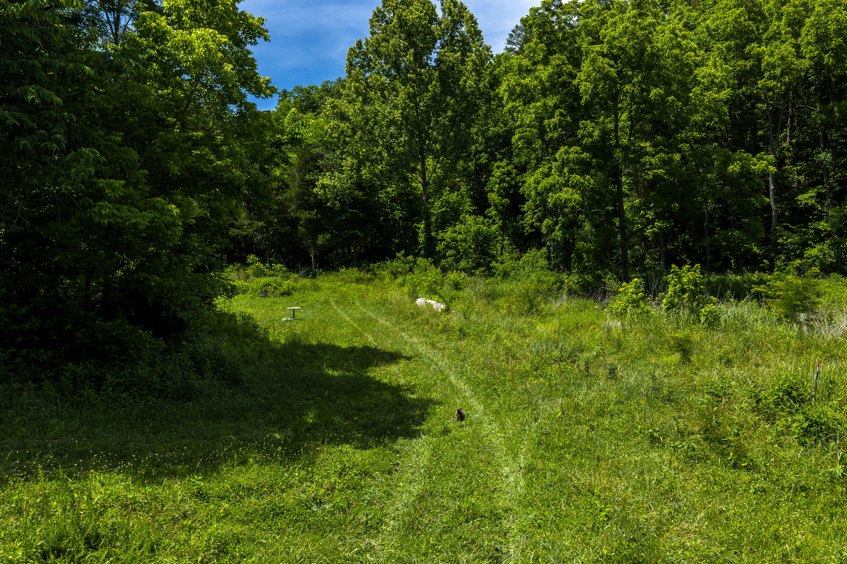 Photo 13 - Land for sale – Tbd  Timberhill Road-Tract 2   Raymondville, MO