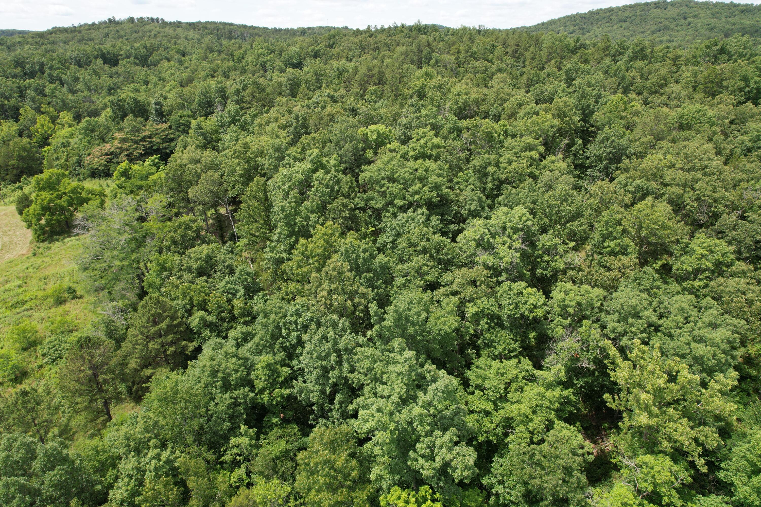 Photo 67 - Land for sale – 000  County Road 522   Winona, MO