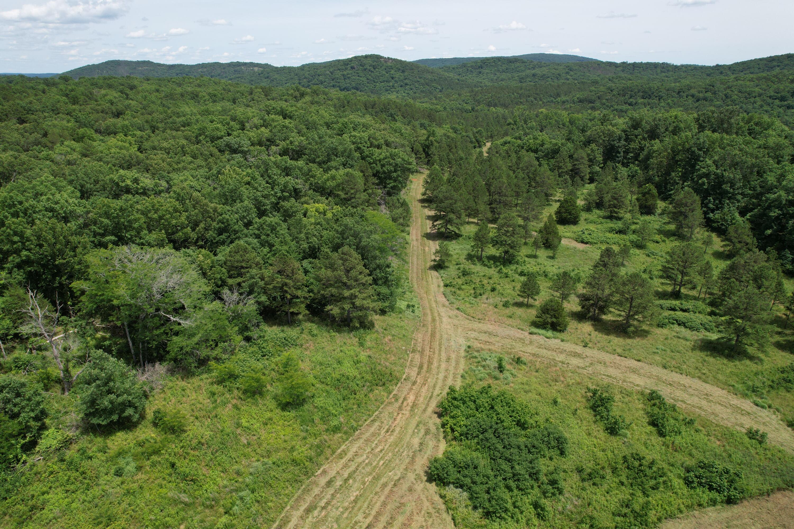 Photo 60 - Land for sale – 000  County Road 522   Winona, MO