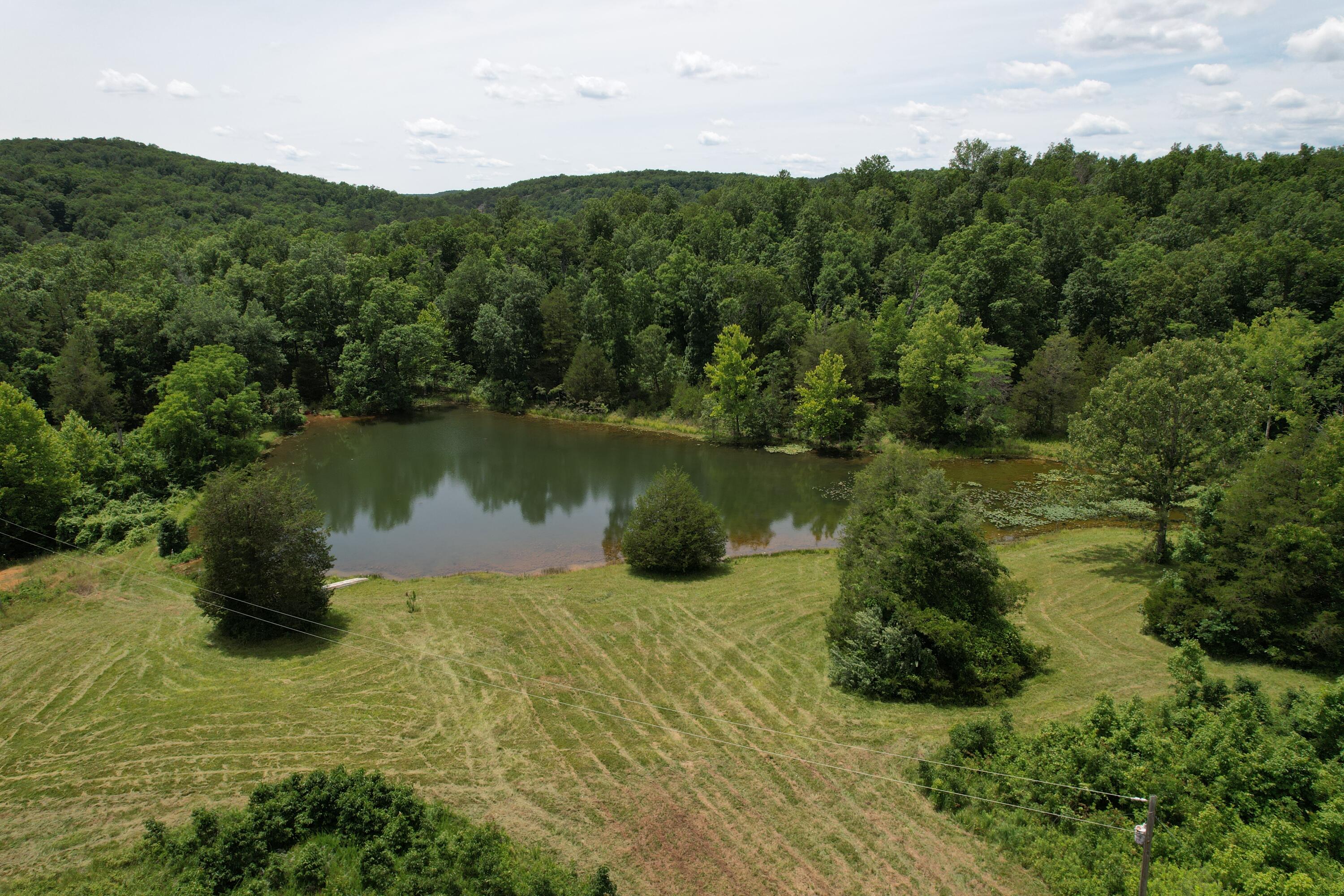 Photo 42 - Land for sale – 000  County Road 522   Winona, MO