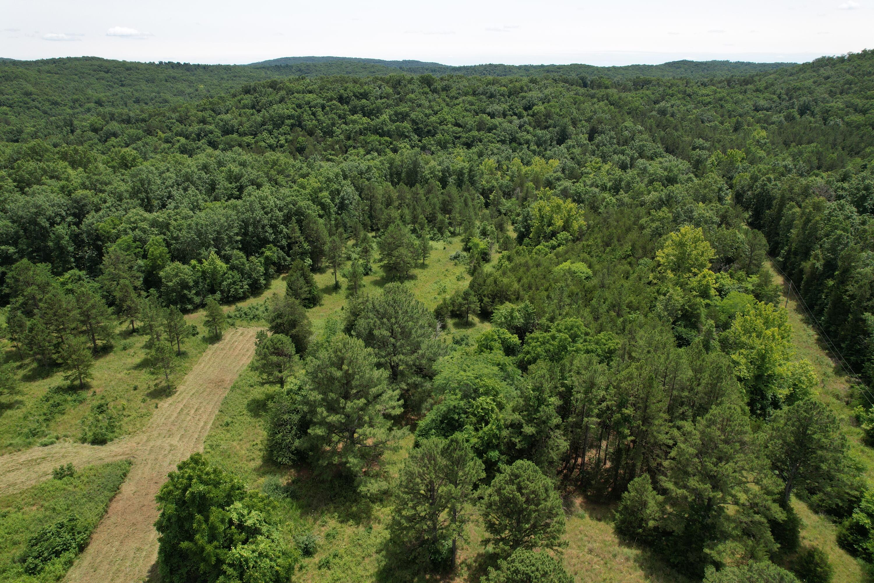 Photo 62 - Land for sale – 000  County Road 522   Winona, MO