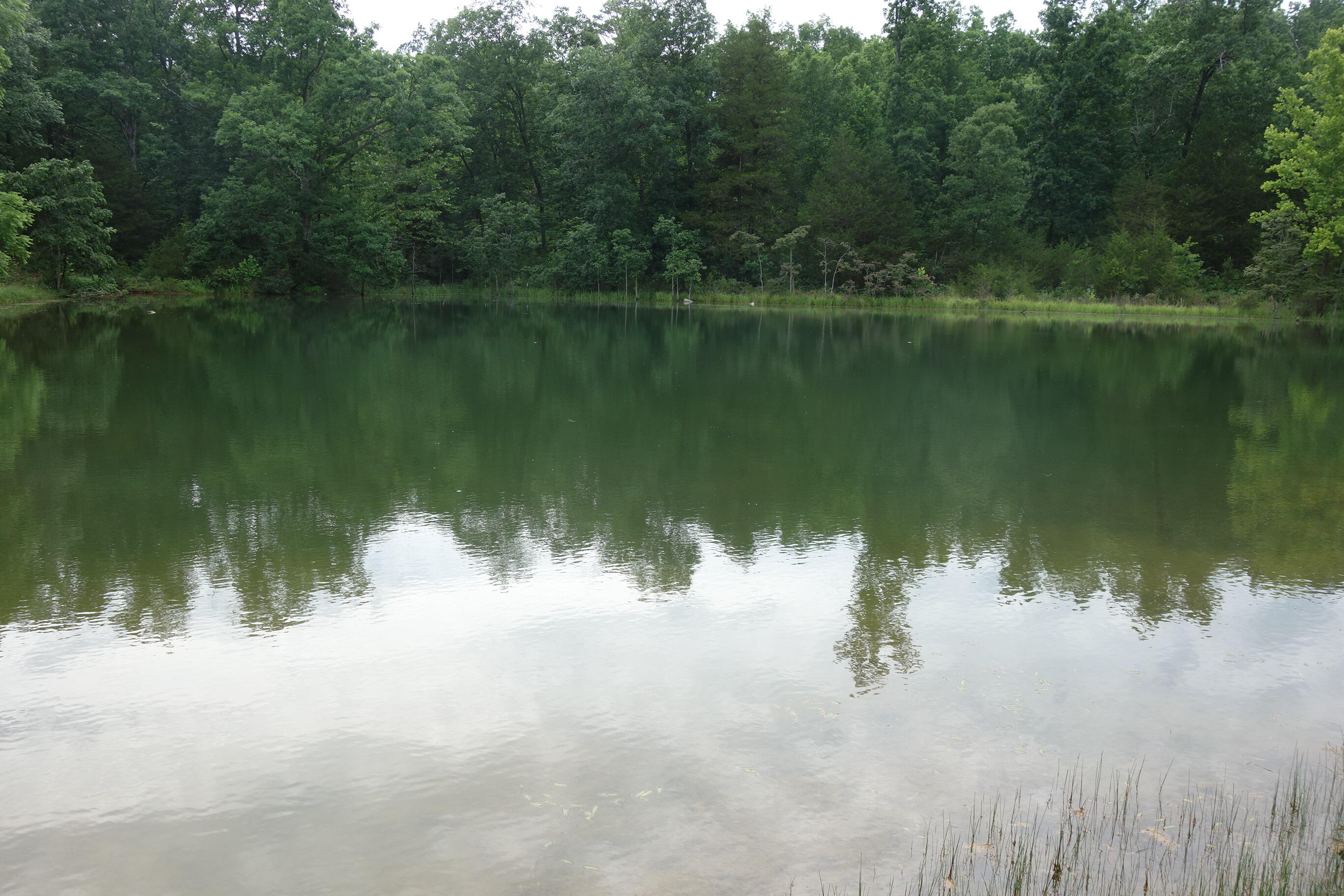 Photo 84 - Land for sale – 000  County Road 522   Winona, MO