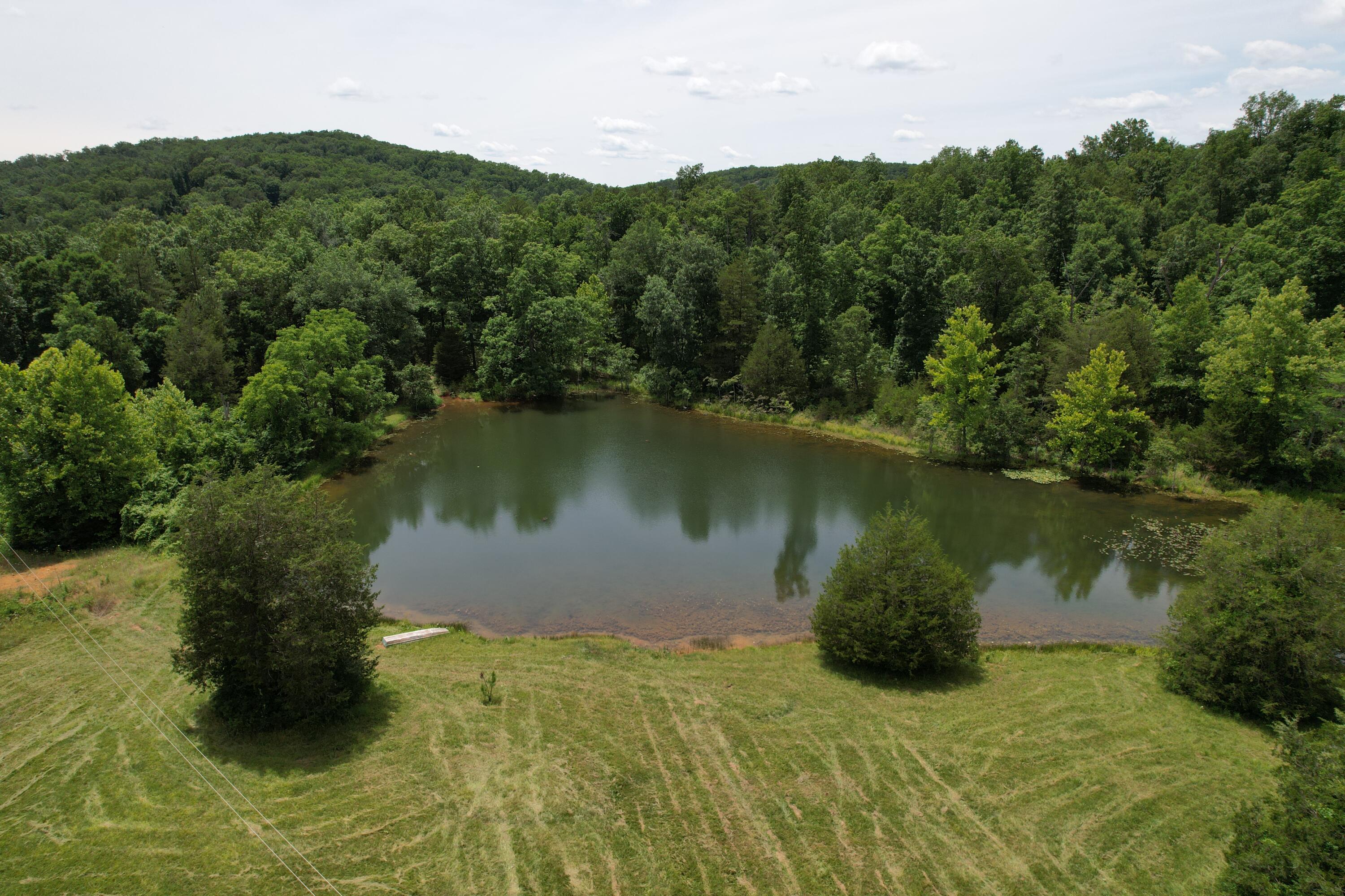 Photo 2 - Land for sale – 000  County Road 522   Winona, MO