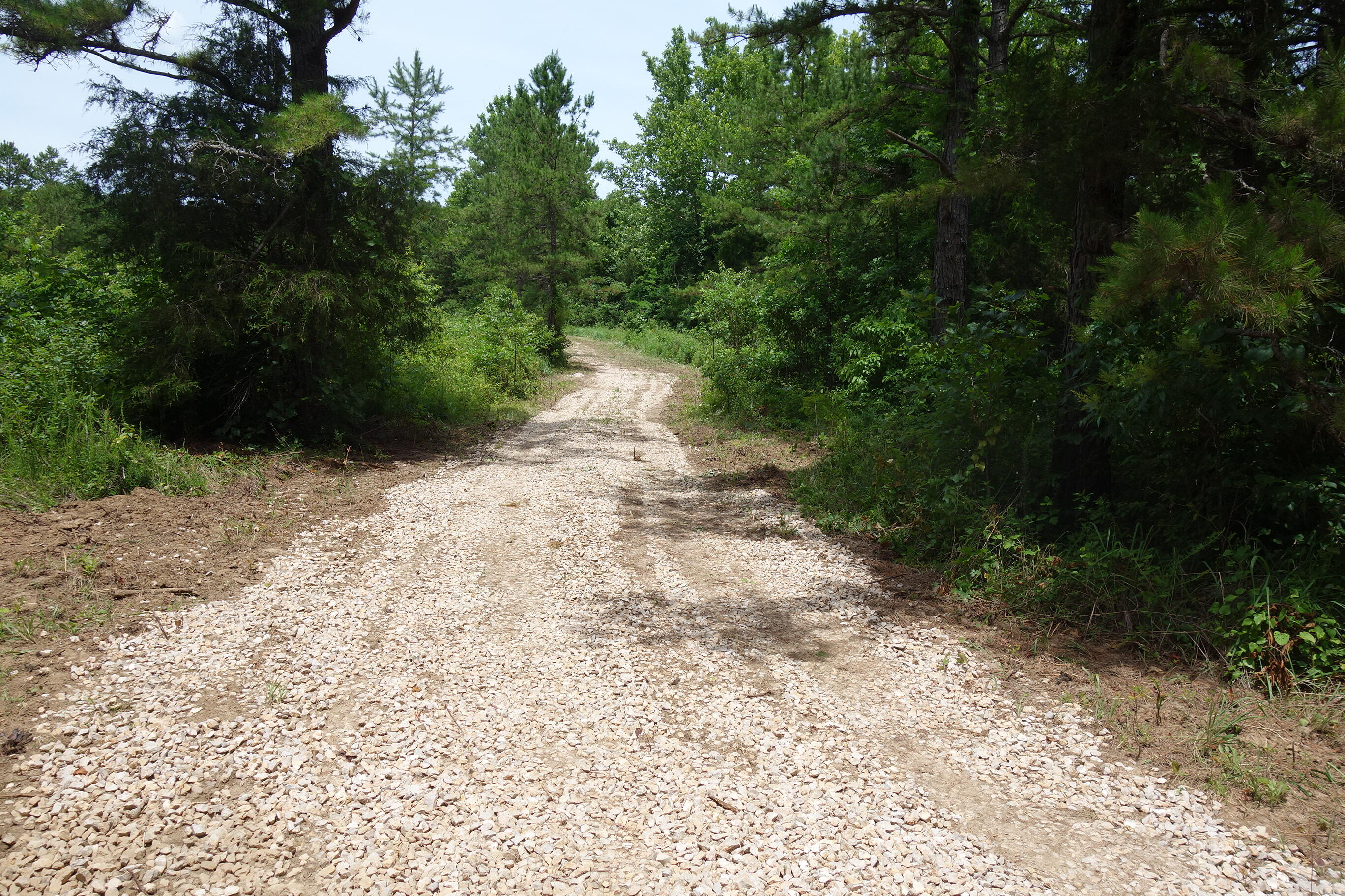 Photo 13 - Land for sale – 000  County Road 522   Winona, MO
