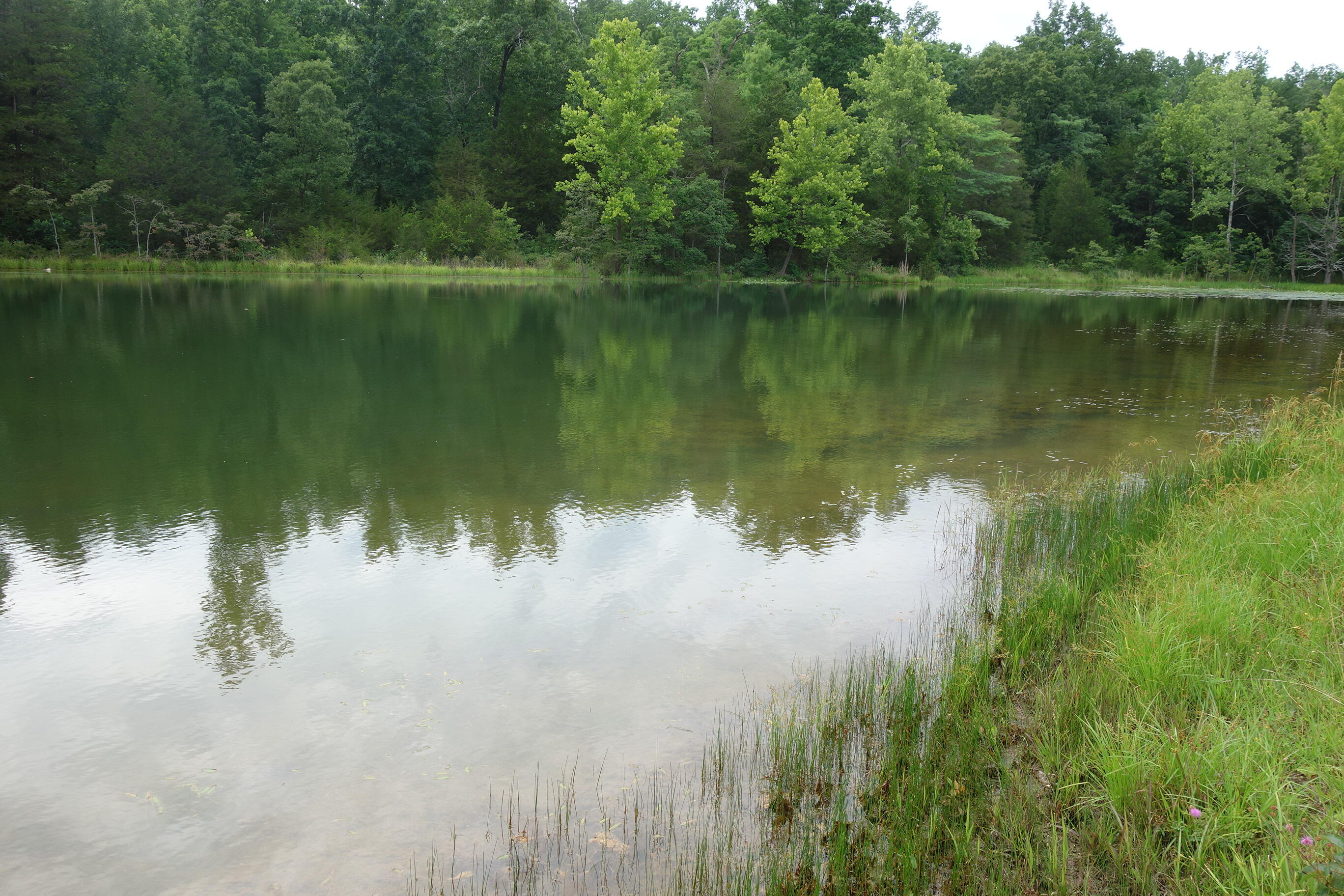 Photo 85 - Land for sale – 000  County Road 522   Winona, MO