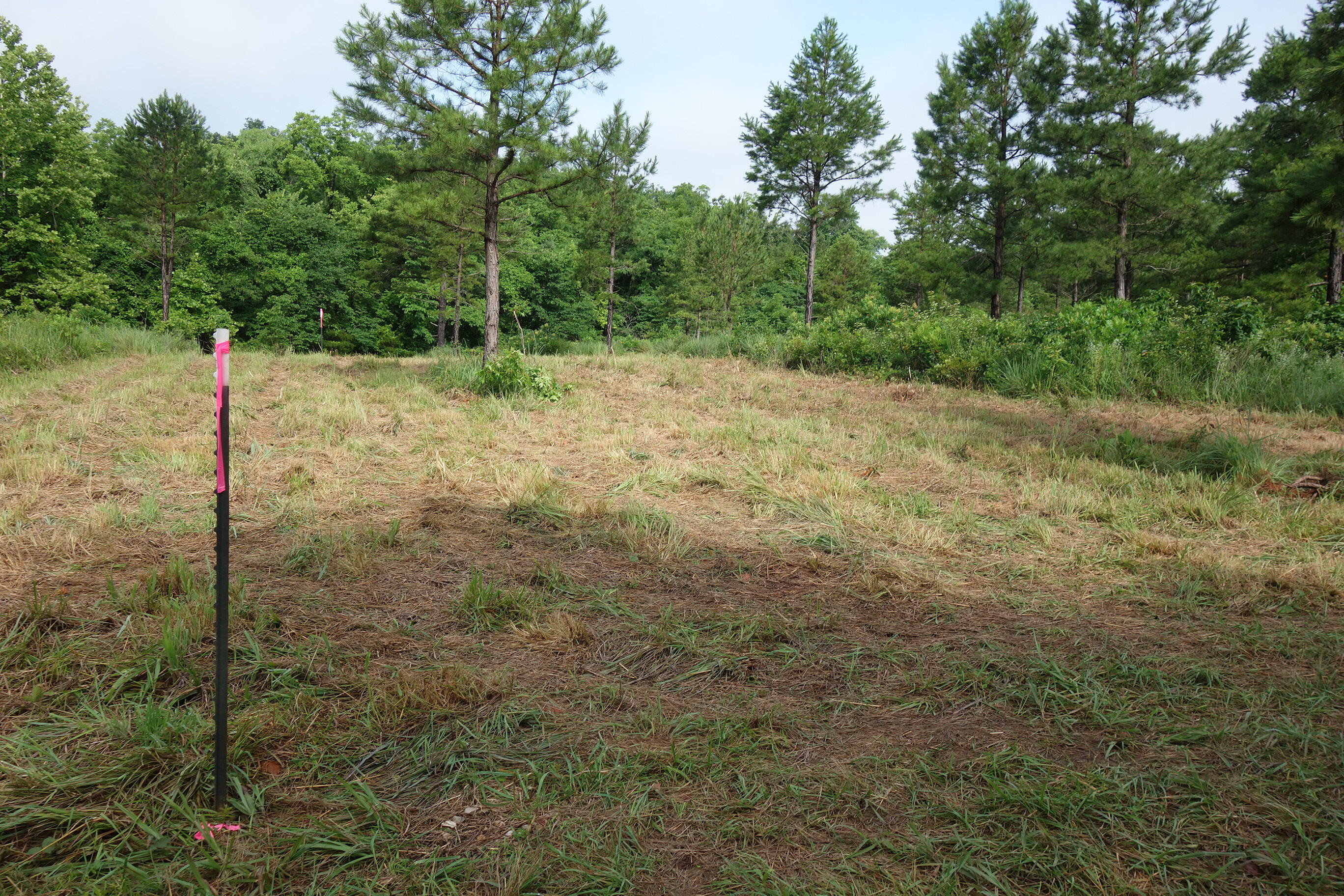 Photo 17 - Land for sale – 000  County Road 522   Winona, MO