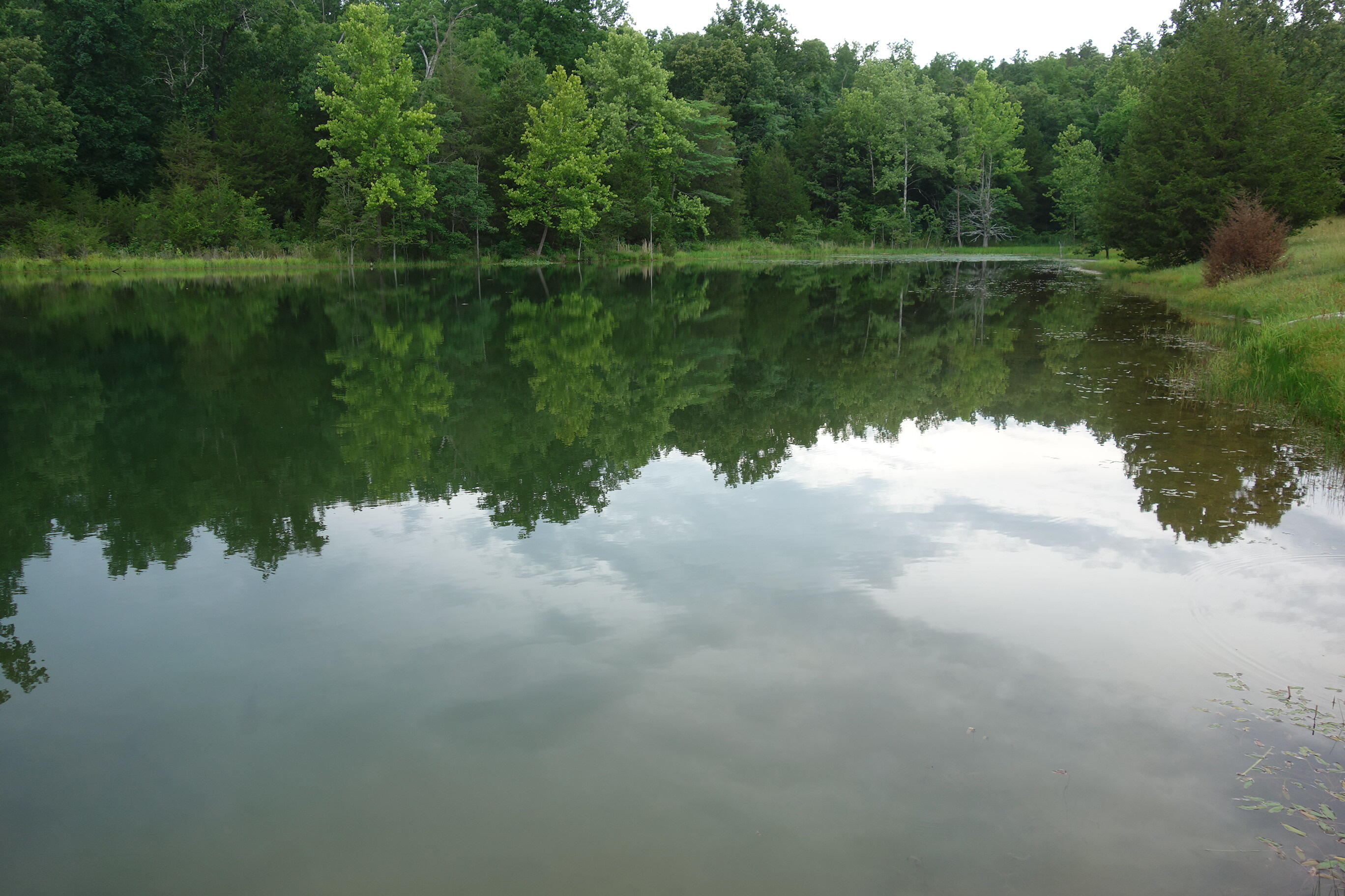 Photo 26 - Land for sale – 000  County Road 522   Winona, MO