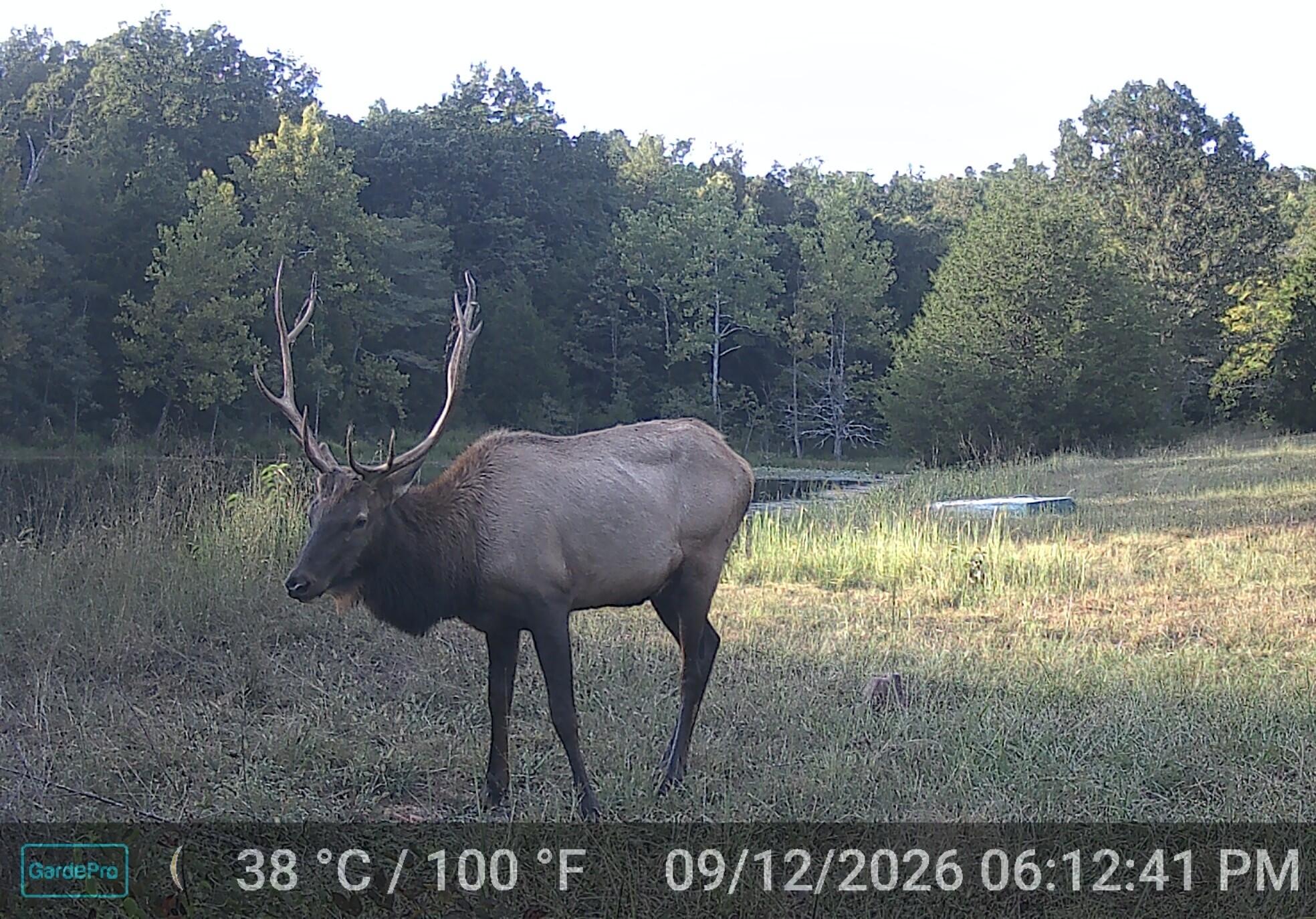 Photo 32 - Land for sale – 000  County Road 522   Winona, MO