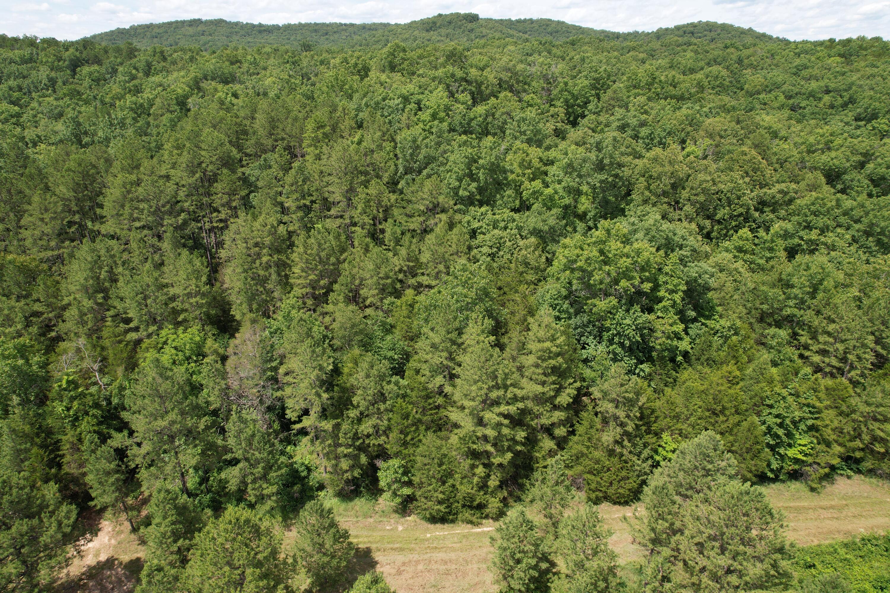 Photo 79 - Land for sale – 000  County Road 522   Winona, MO