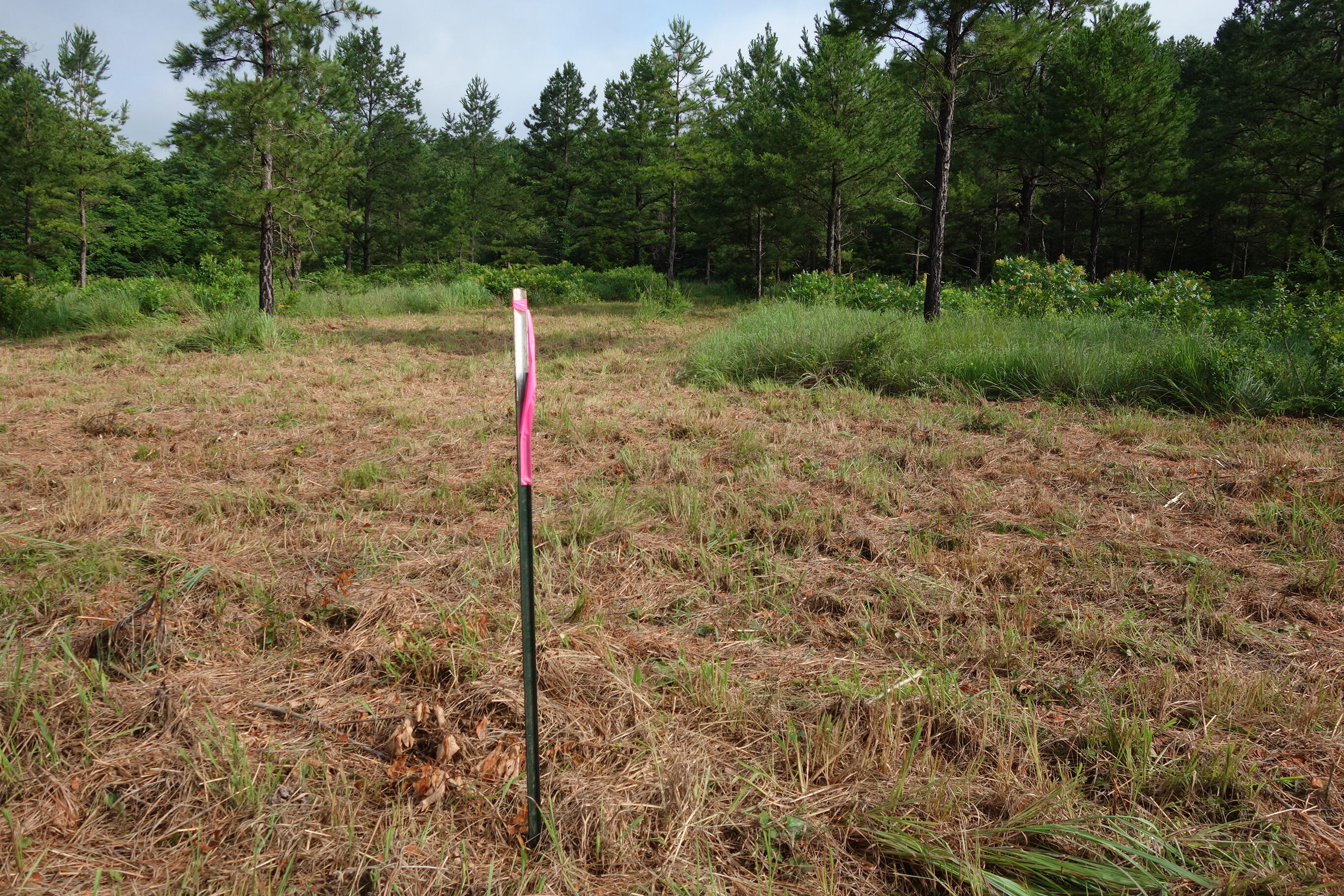 Photo 18 - Land for sale – 000  County Road 522   Winona, MO