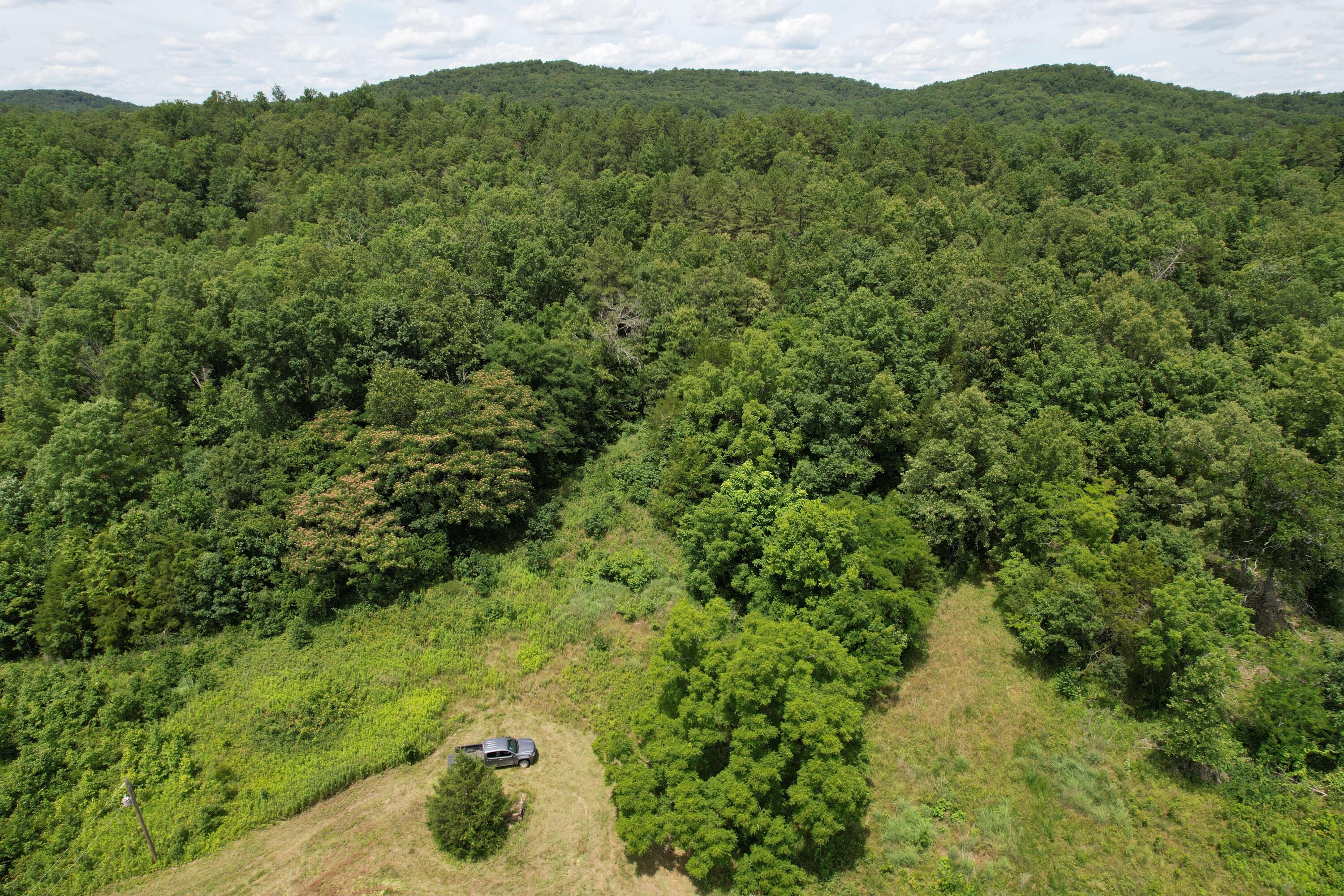 Photo 44 - Land for sale – 000  County Road 522   Winona, MO