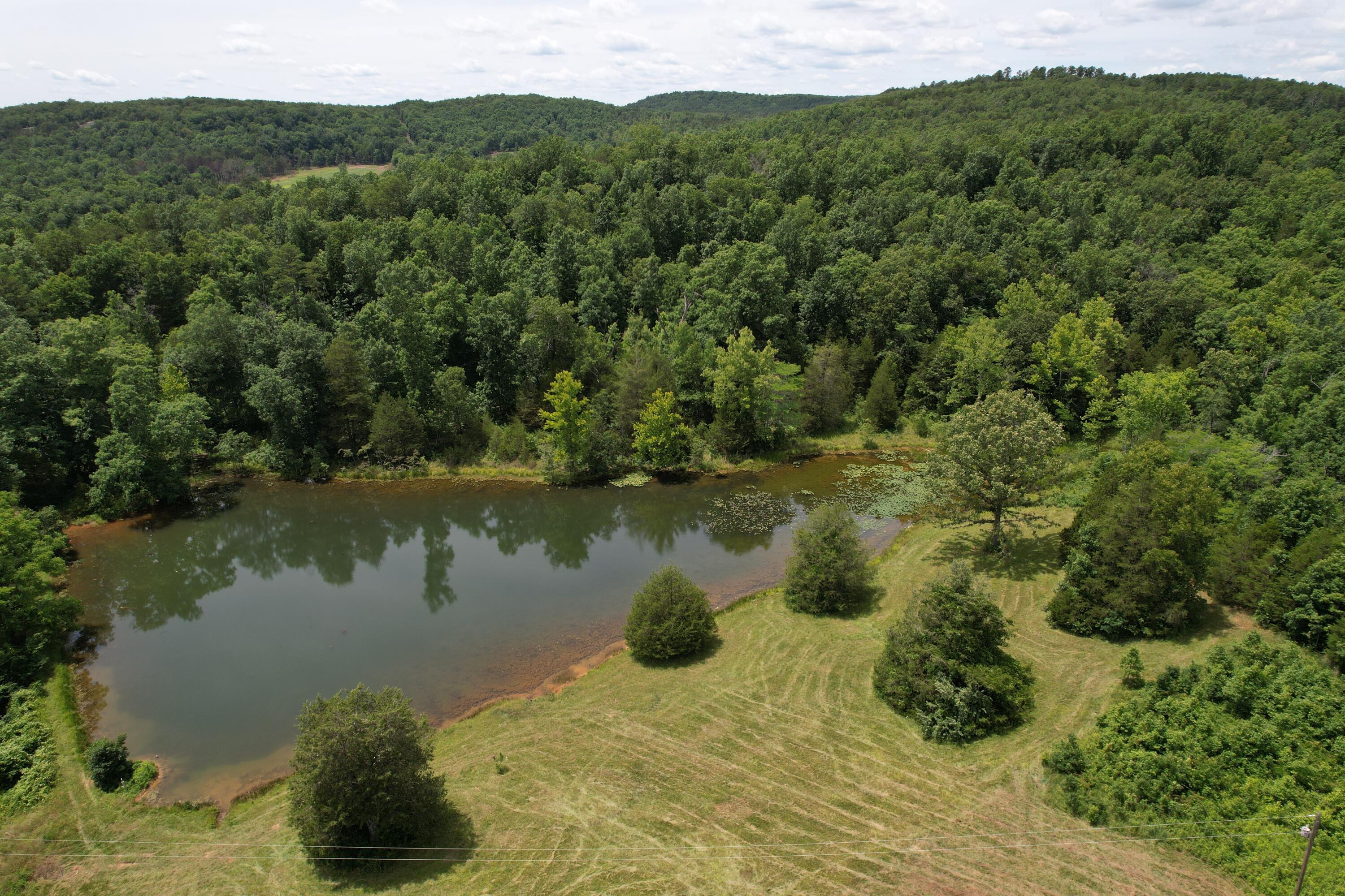 Photo 64 - Land for sale – 000  County Road 522   Winona, MO