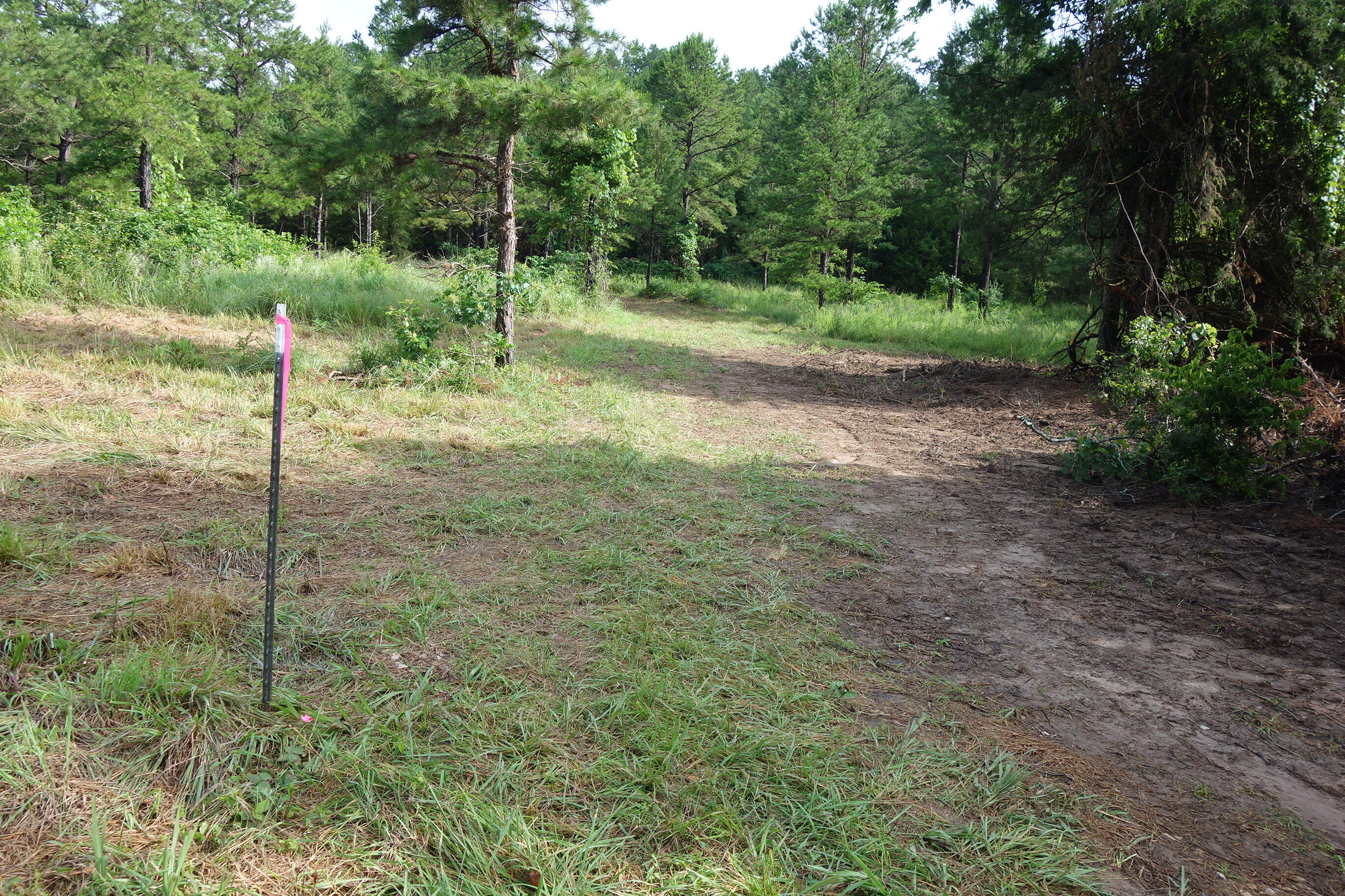 Photo 16 - Land for sale – 000  County Road 522   Winona, MO