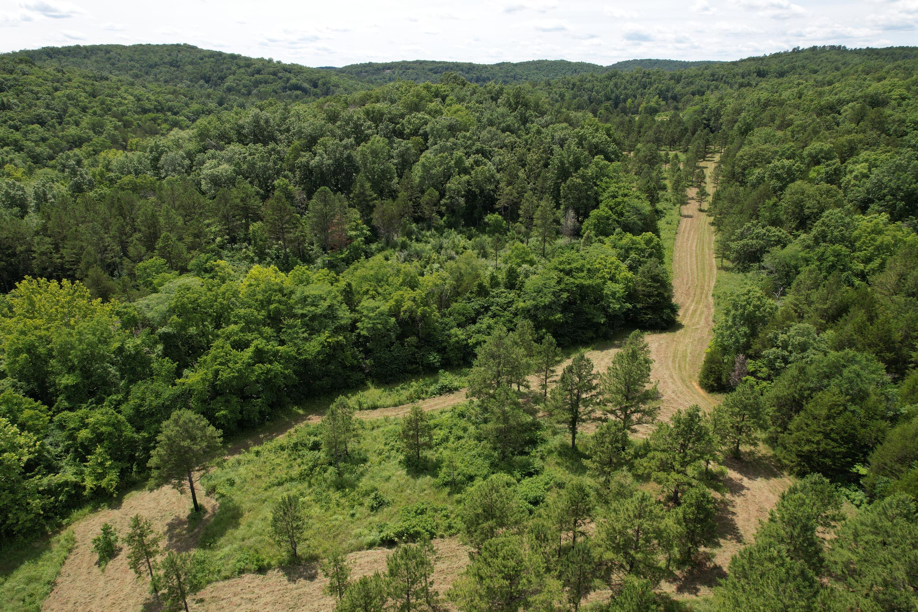 Photo 77 - Land for sale – 000  County Road 522   Winona, MO