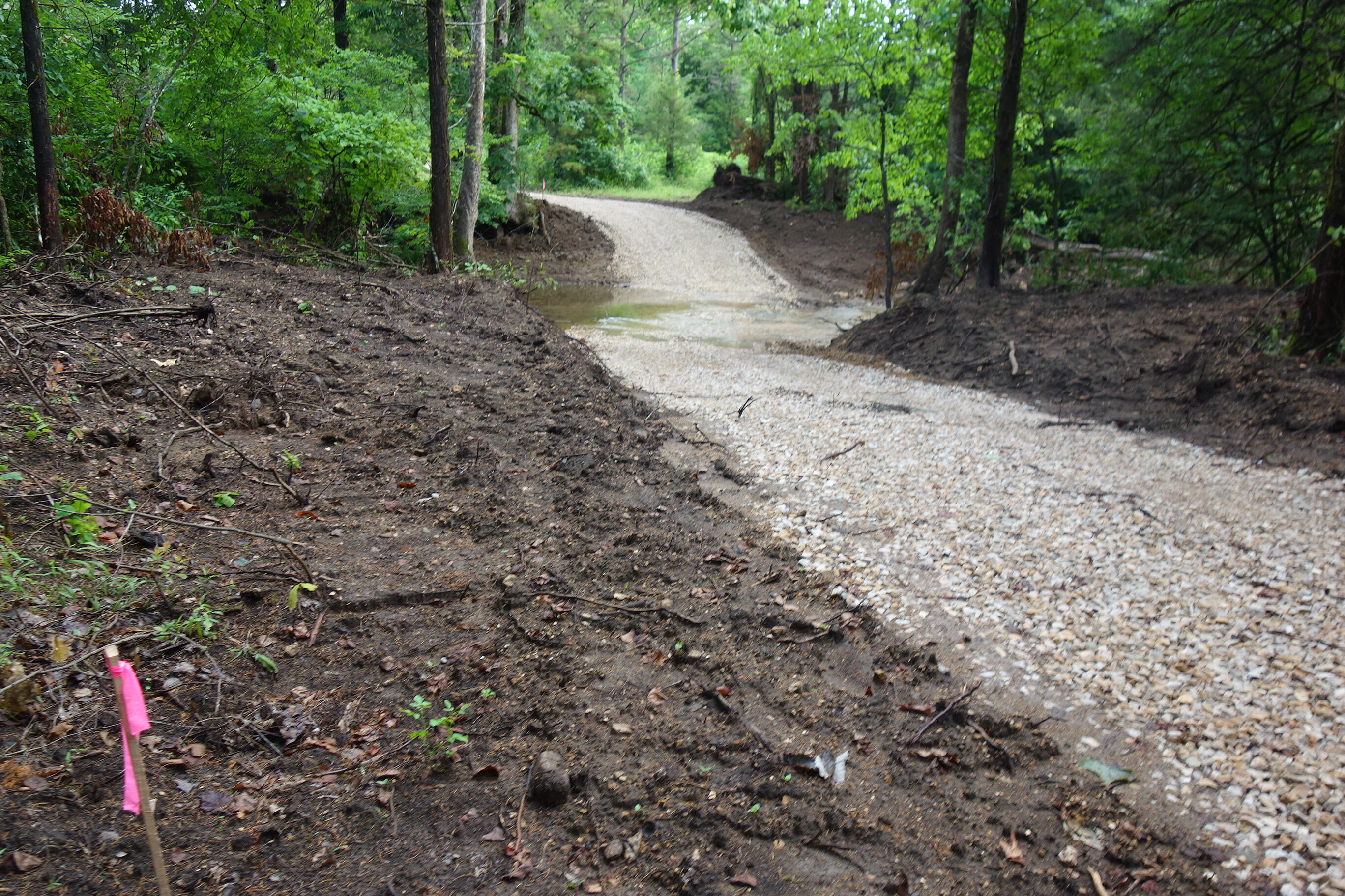 Photo 7 - Land for sale – 000  County Road 522   Winona, MO